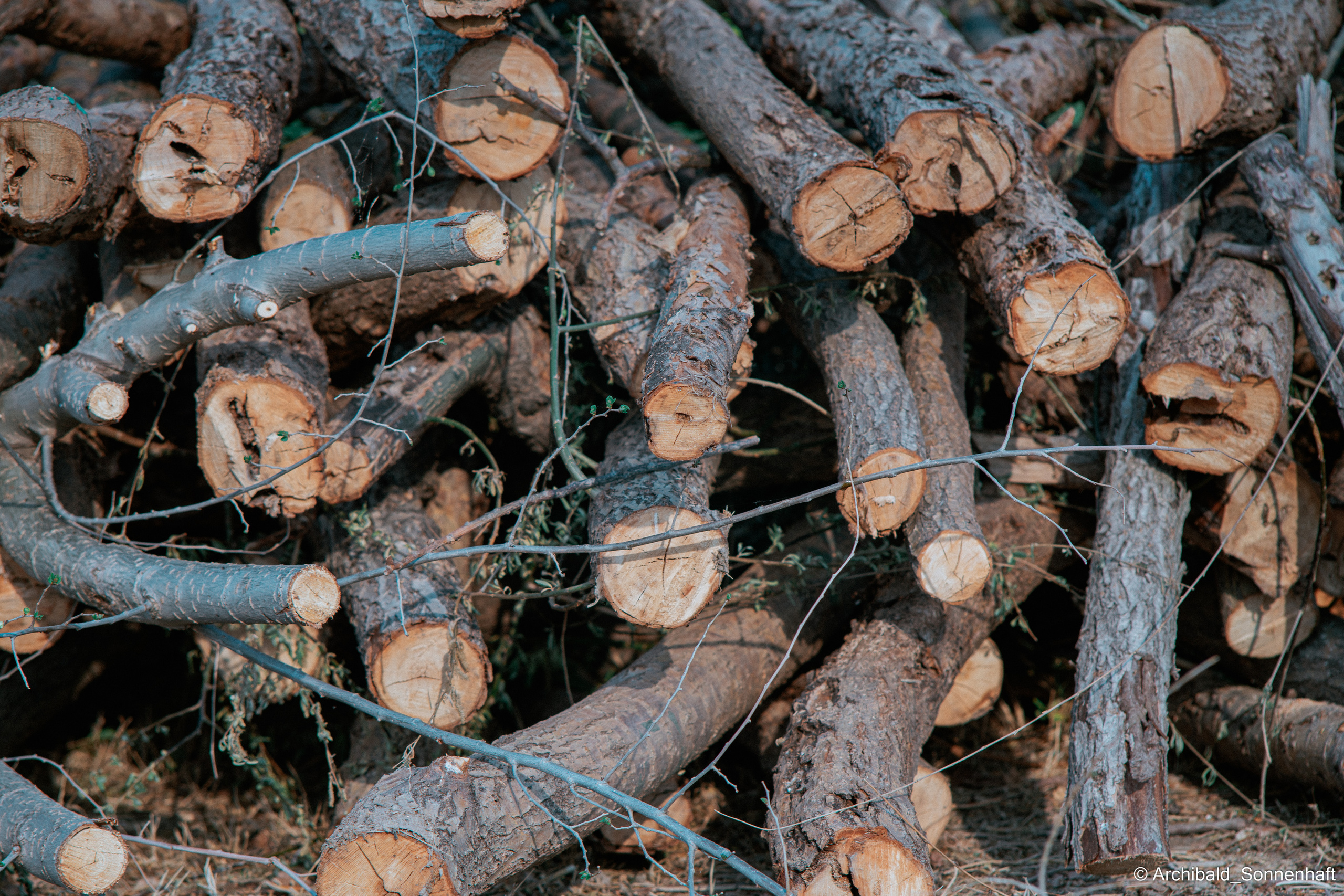 Soft, beautiful, horizontal. Photographer in Guangzhou, China. Archibald Sonnenhaft