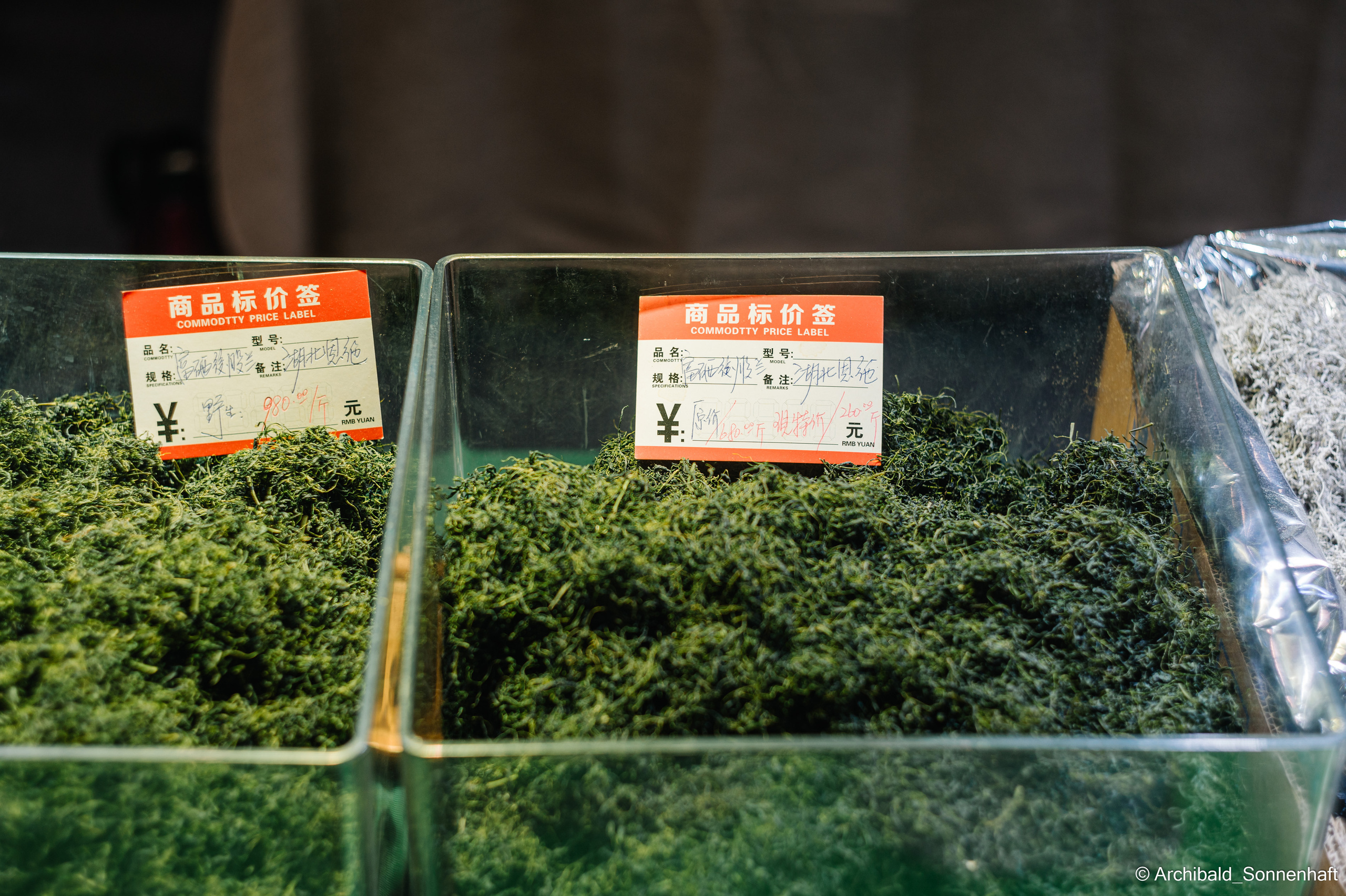 Tea exhibition in Tianjin, China. Photographer in Guangzhou, China. Archibald Sonnenhaft