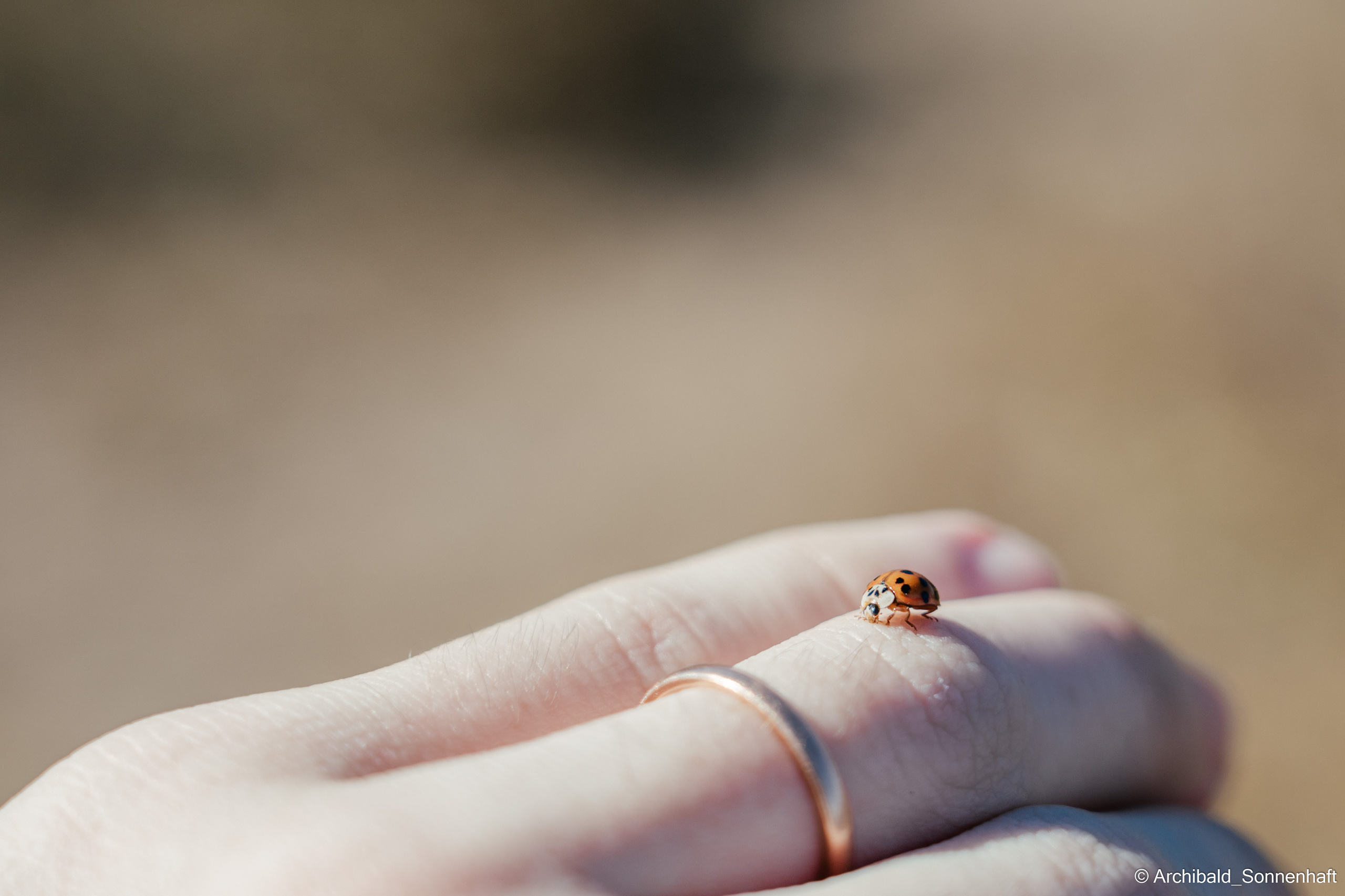 Hiking in Panlai. Photographer in Guangzhou, China. Archibald Sonnenhaft