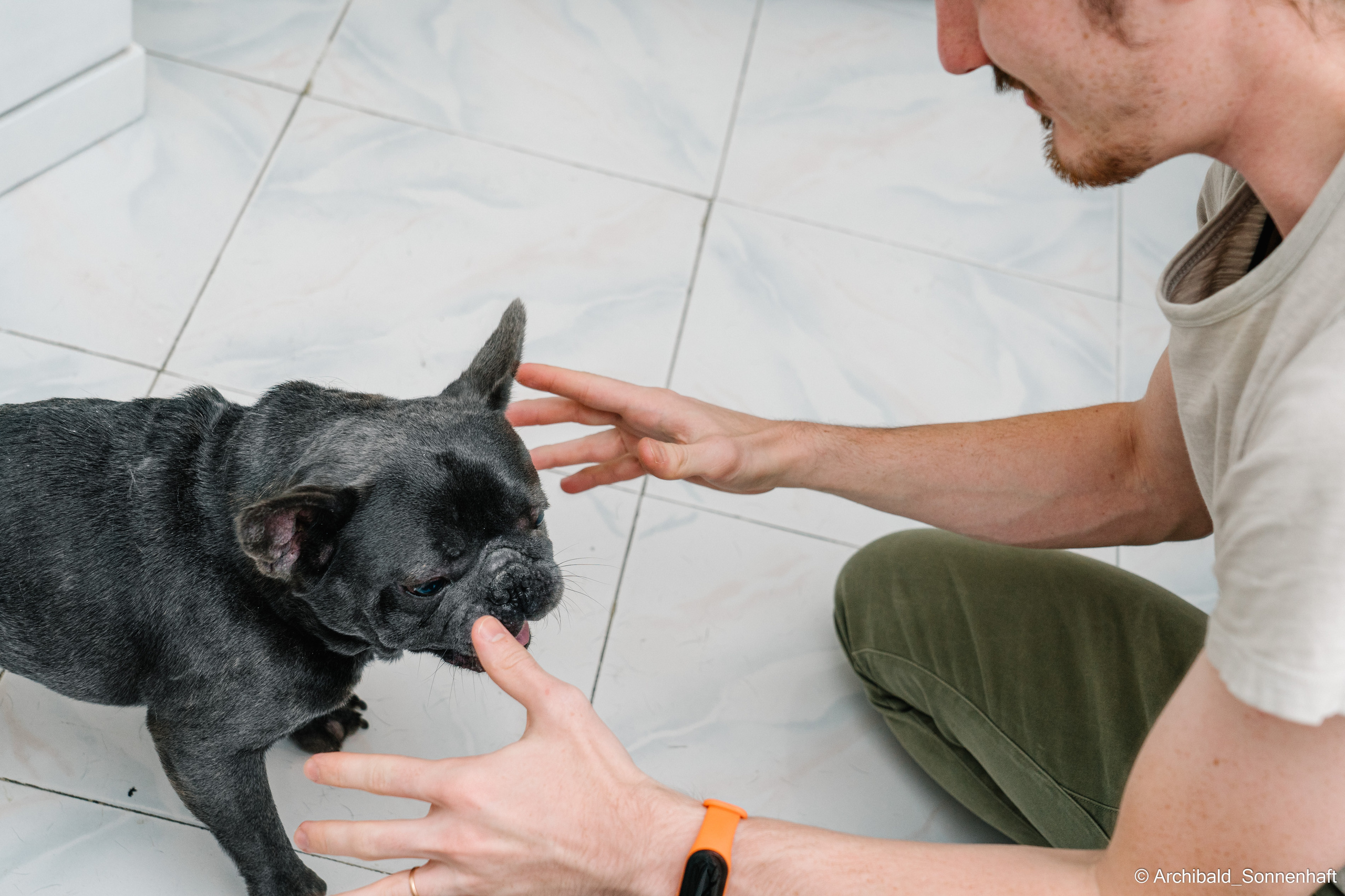 Cat and dog there. Photographer in Guangzhou, China. Archibald Sonnenhaft
