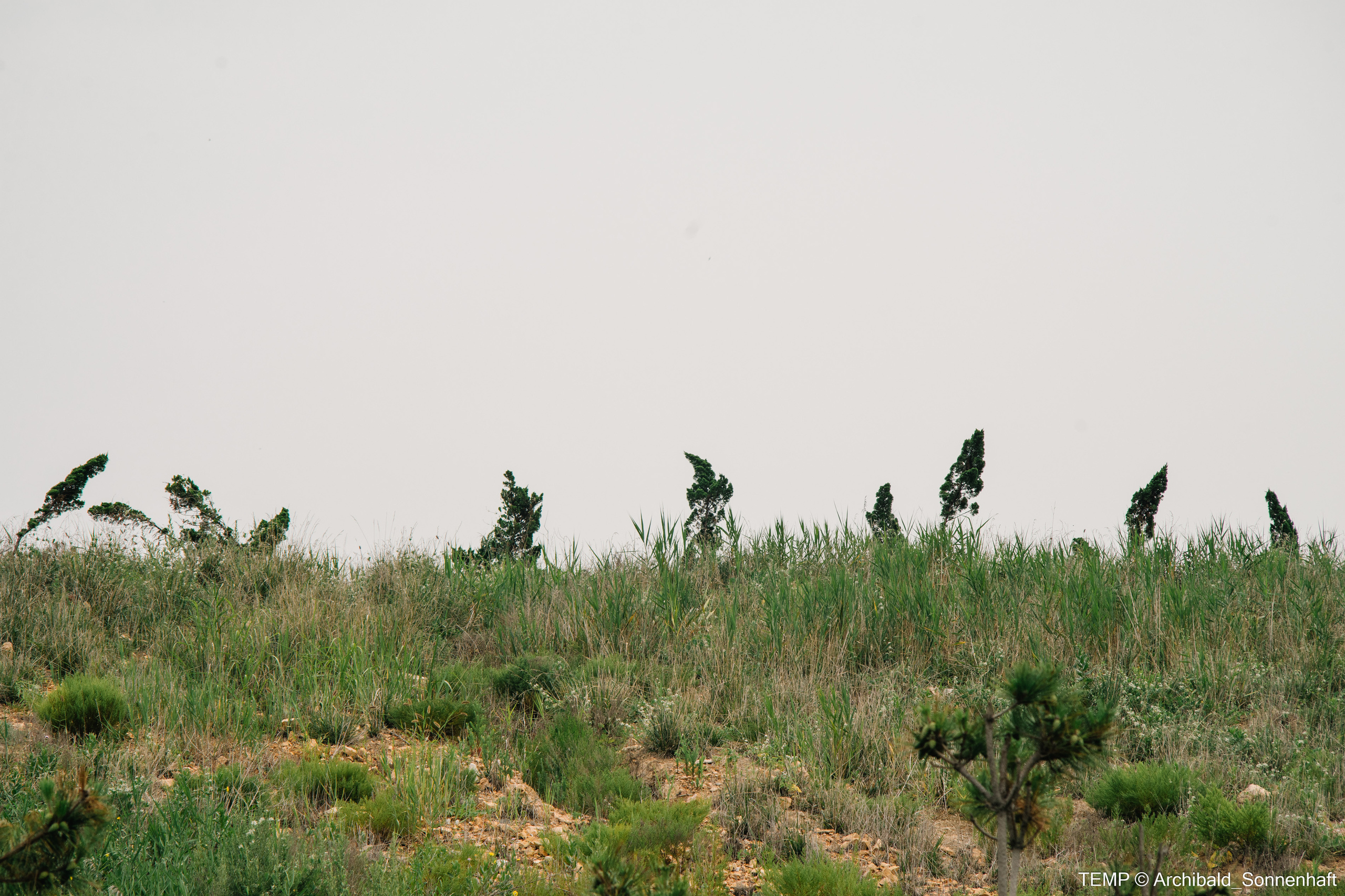 Small tourist island (Yantai district, China). Photographer in Guangzhou, China. Archibald Sonnenhaft