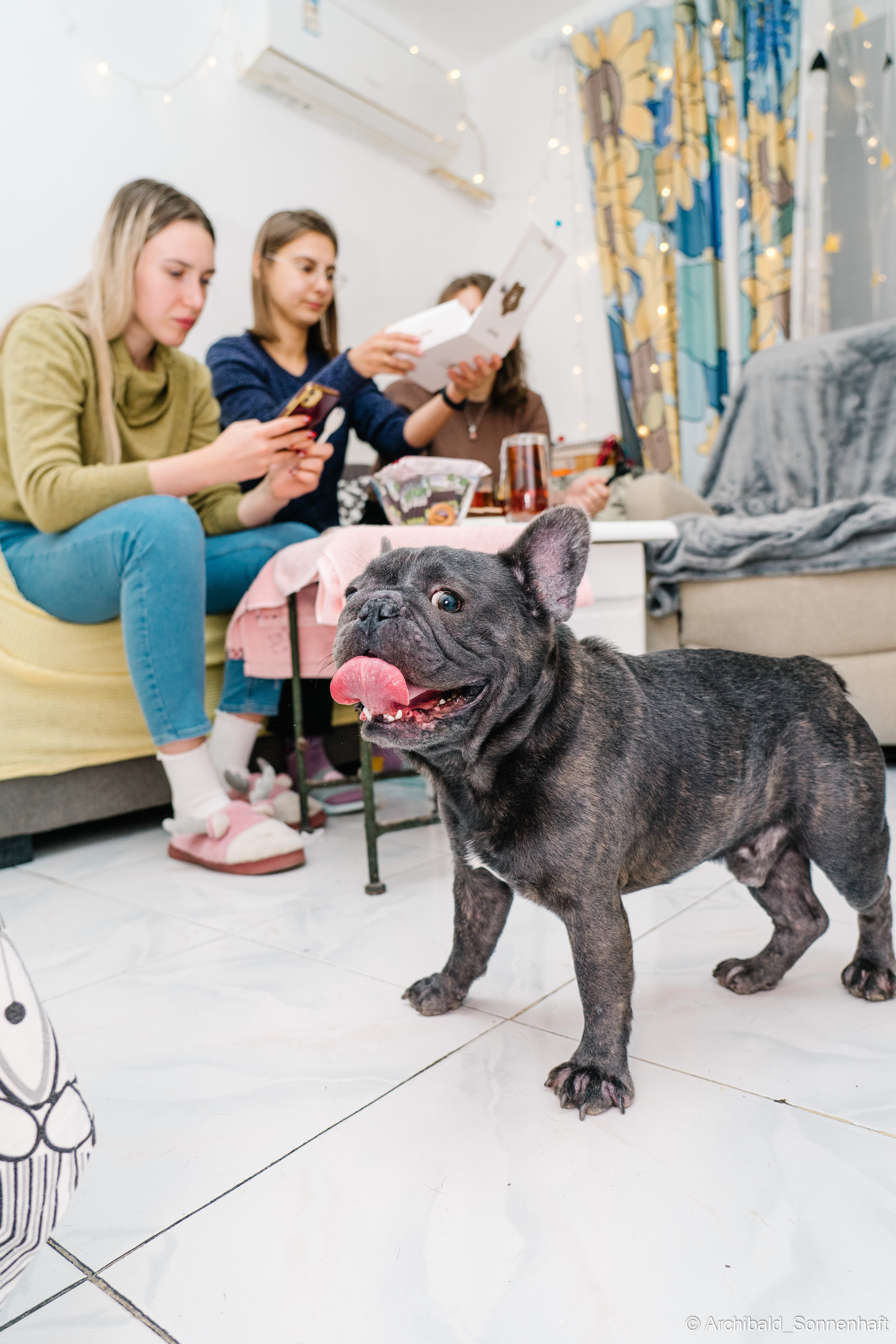 Cat and dog there. Photographer in Guangzhou, China. Archibald Sonnenhaft