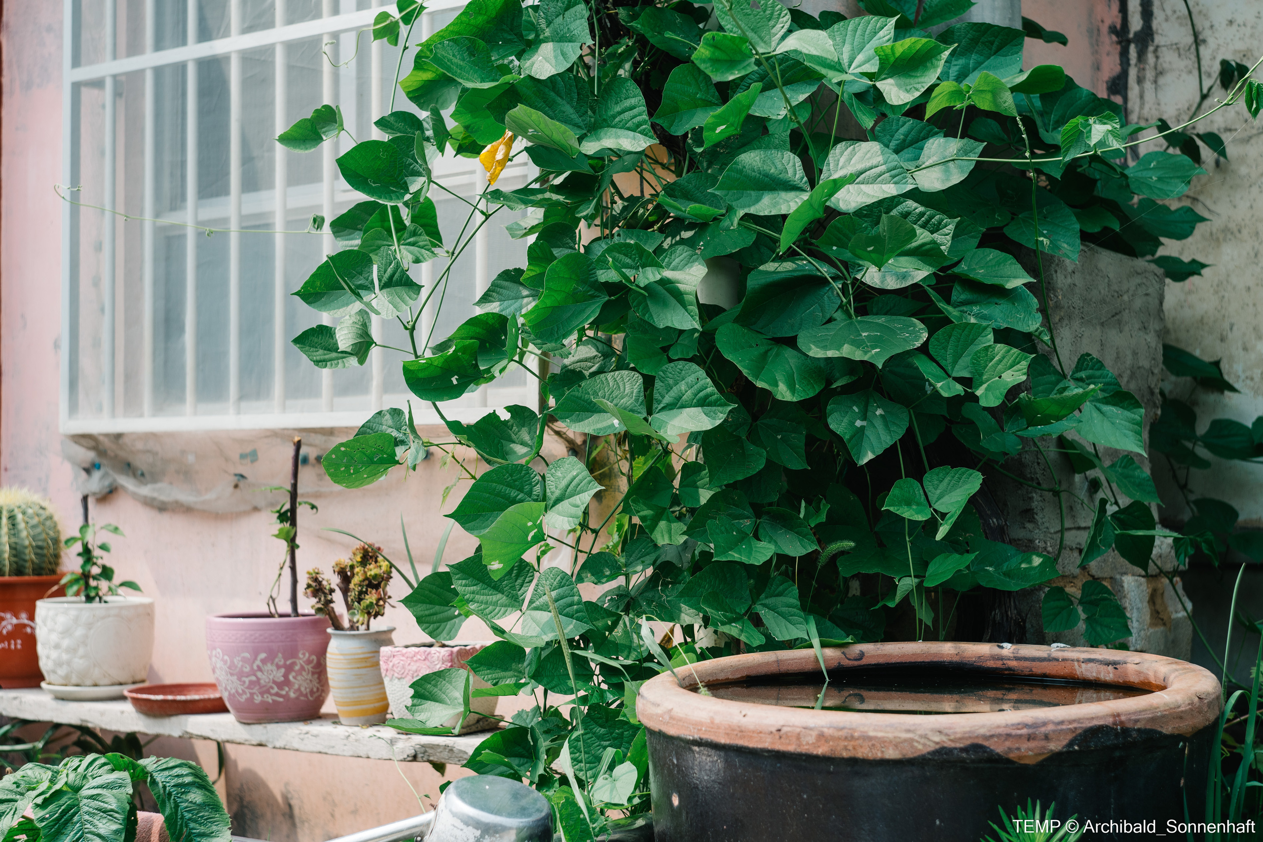 Small tourist island (Yantai district, China). Photographer in Guangzhou, China. Archibald Sonnenhaft