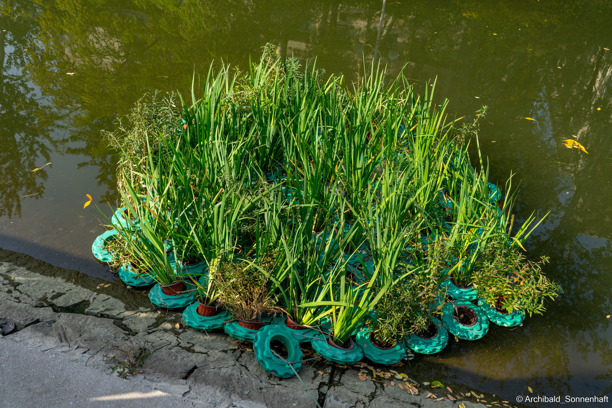Just a walk. Photographer in Guangzhou, China. Archibald Sonnenhaft