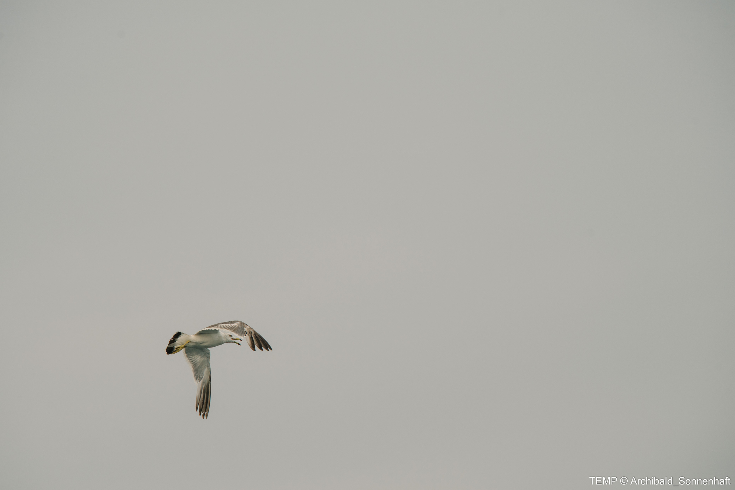 Small tourist island (Yantai district, China). Photographer in Guangzhou, China. Archibald Sonnenhaft