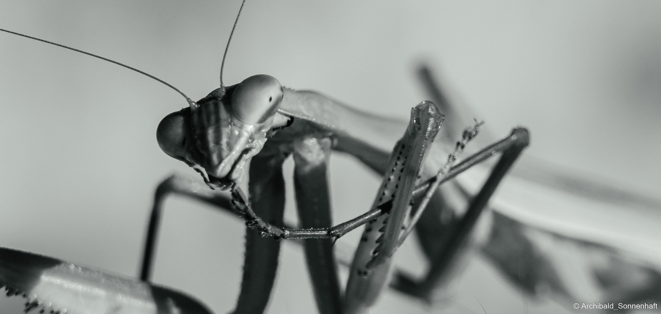 Hiking in Panlai. Photographer in Guangzhou, China. Archibald Sonnenhaft