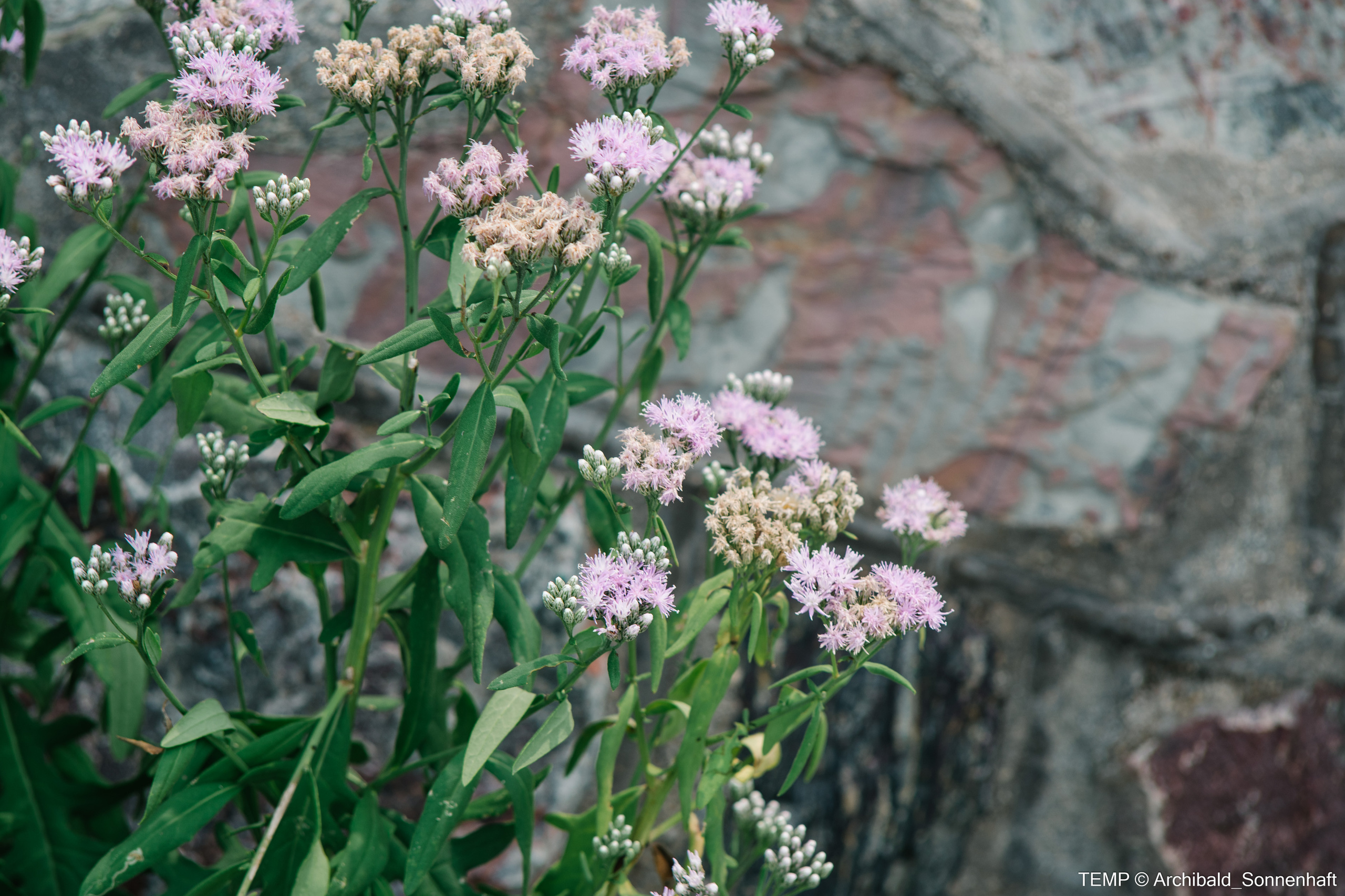 Small tourist island (Yantai district, China). Photographer in Guangzhou, China. Archibald Sonnenhaft