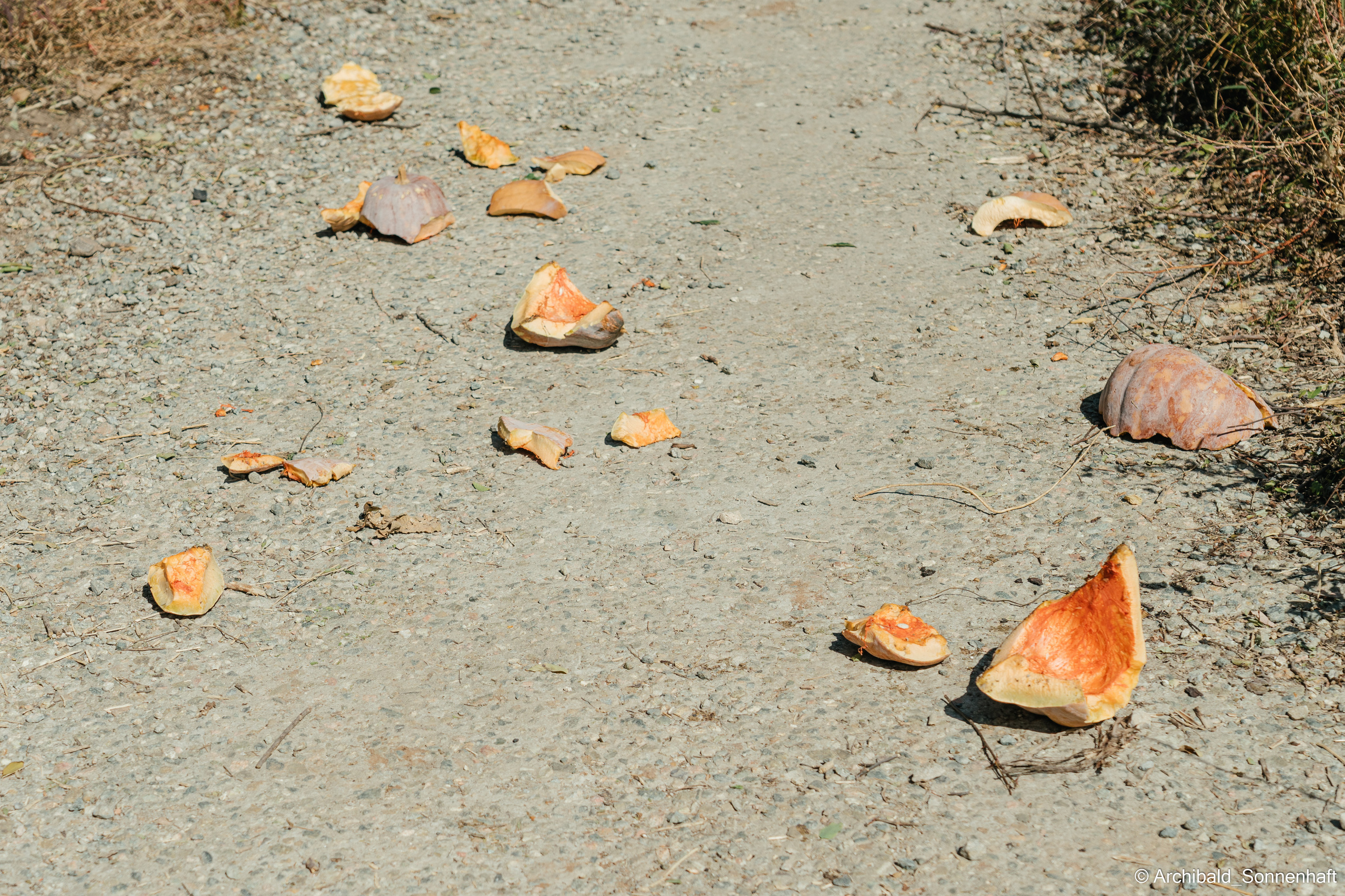 Hiking in Panlai. Photographer in Guangzhou, China. Archibald Sonnenhaft
