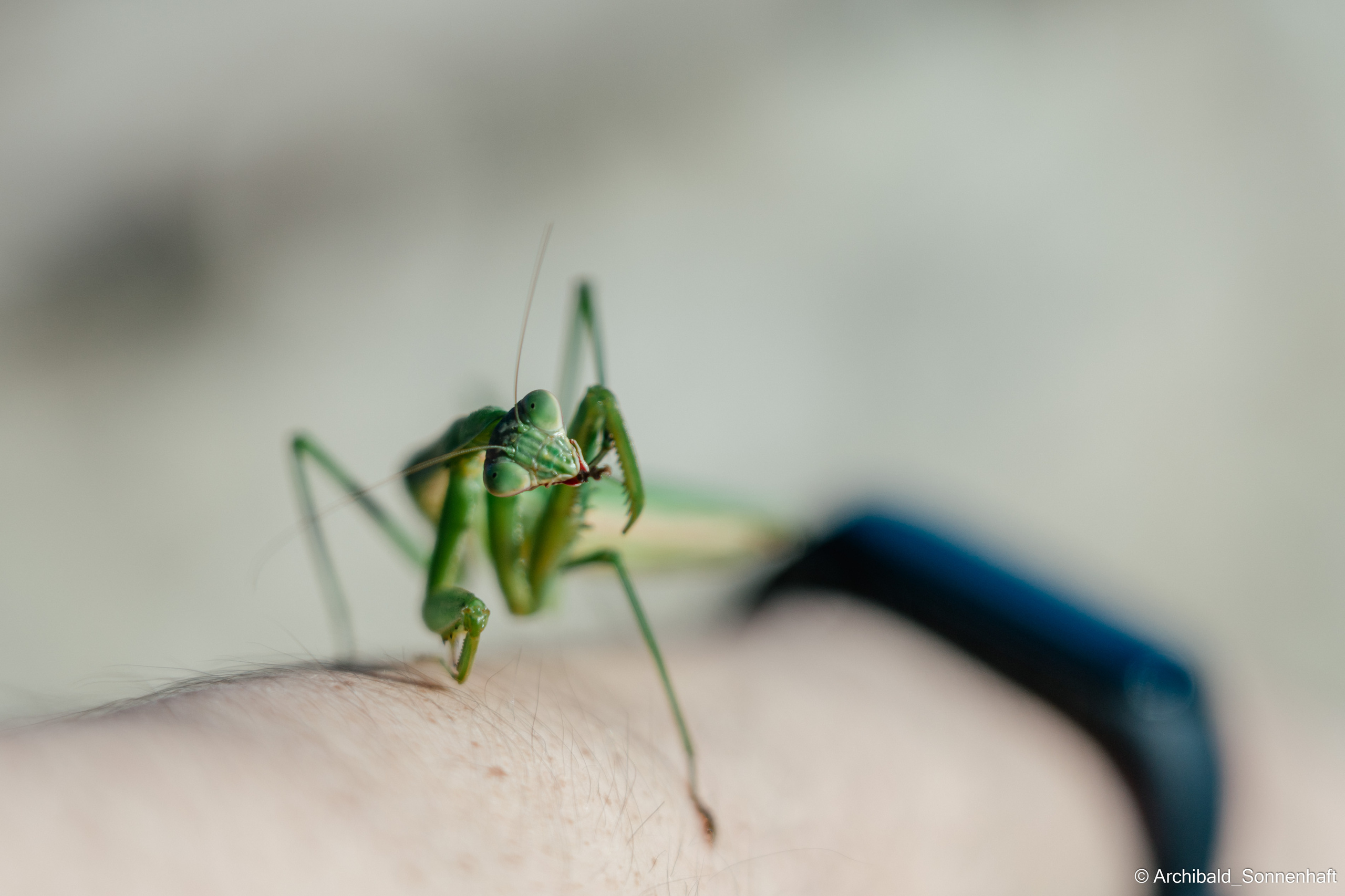 Hiking in Panlai. Photographer in Guangzhou, China. Archibald Sonnenhaft