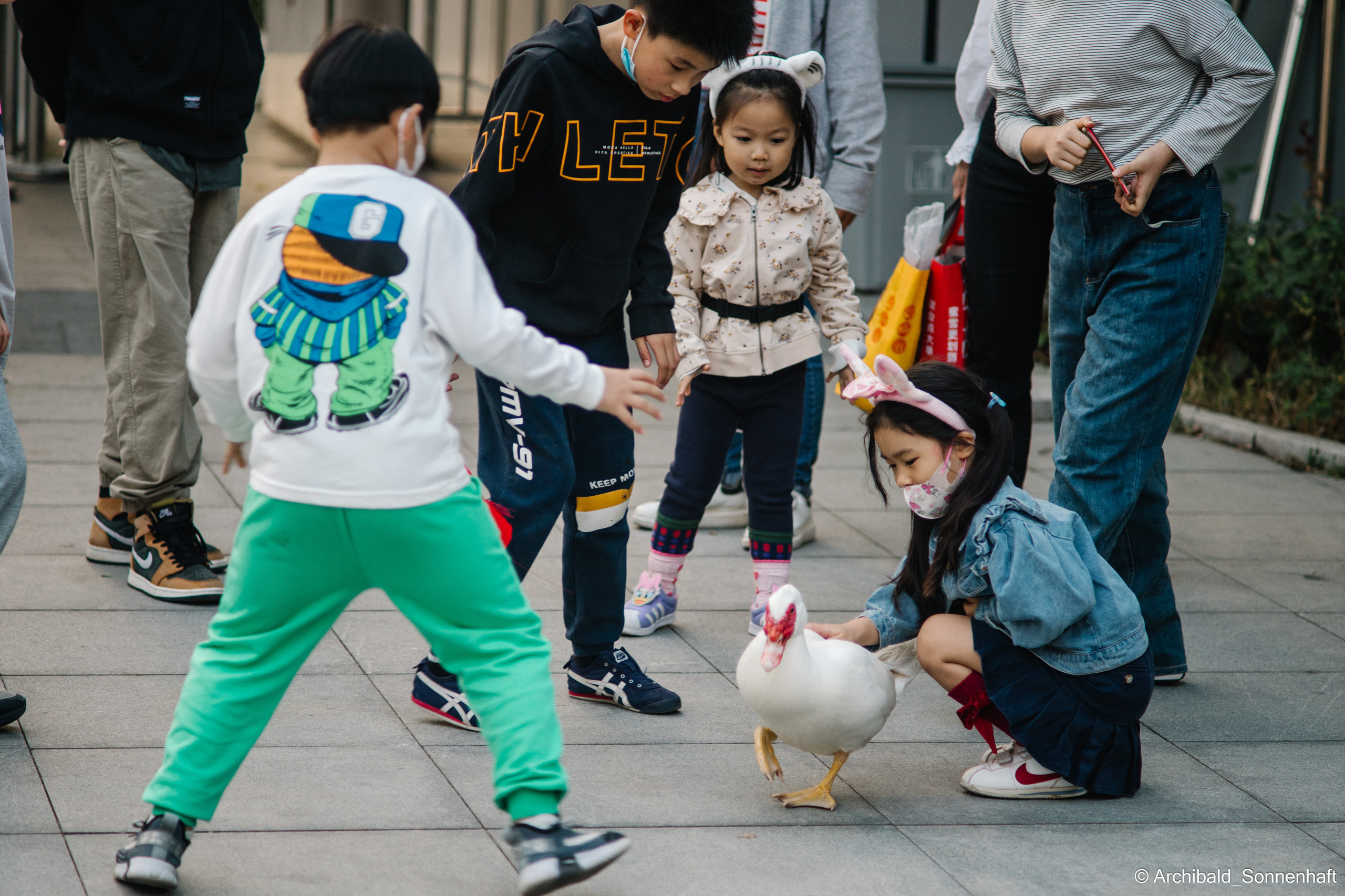Zoo. Photographer in Guangzhou, China. Archibald Sonnenhaft