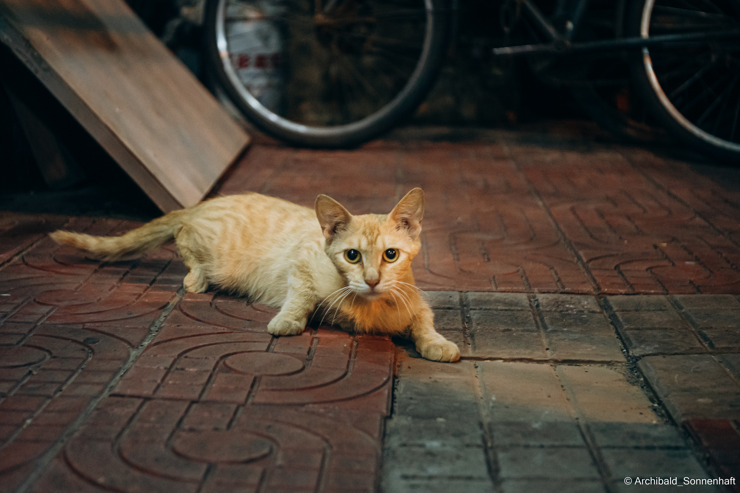 Soft, beautiful, horizontal. Photographer in Guangzhou, China. Archibald Sonnenhaft
