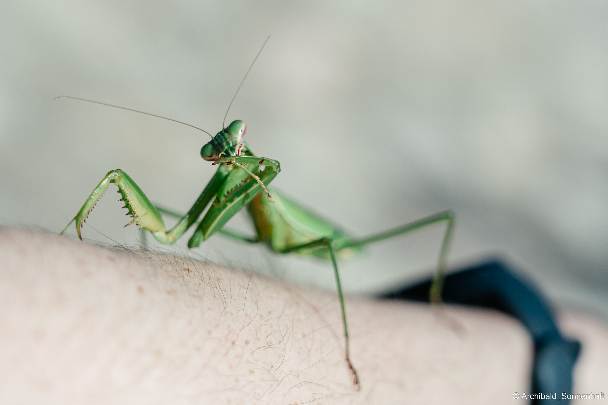 Hiking in Panlai. Photographer in Guangzhou, China. Archibald Sonnenhaft