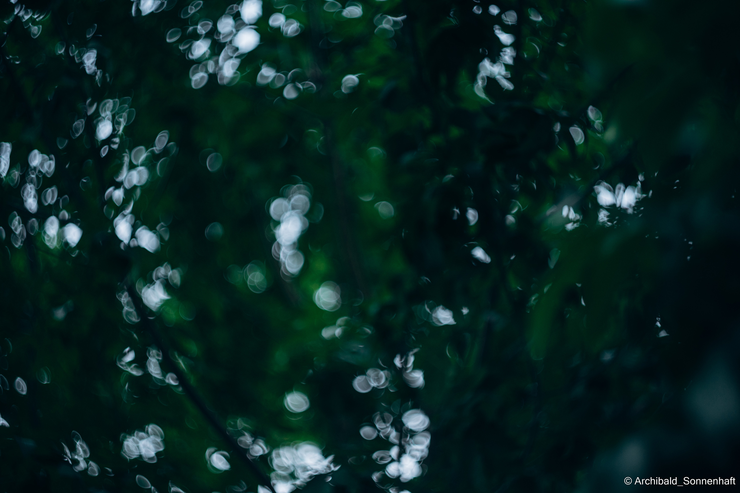 Sometimes it’s hard to focus. Photographer in Guangzhou, China. Archibald Sonnenhaft