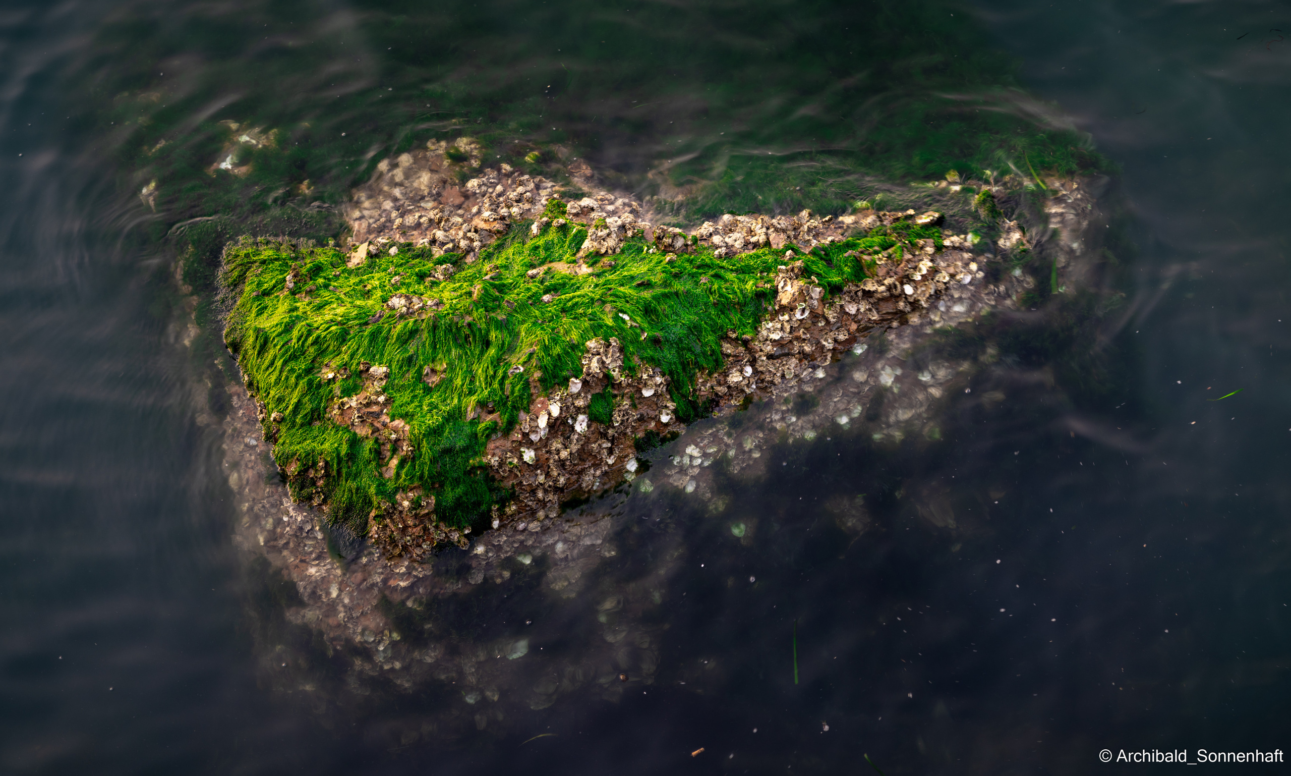 Soft, beautiful, horizontal. Photographer in Guangzhou, China. Archibald Sonnenhaft