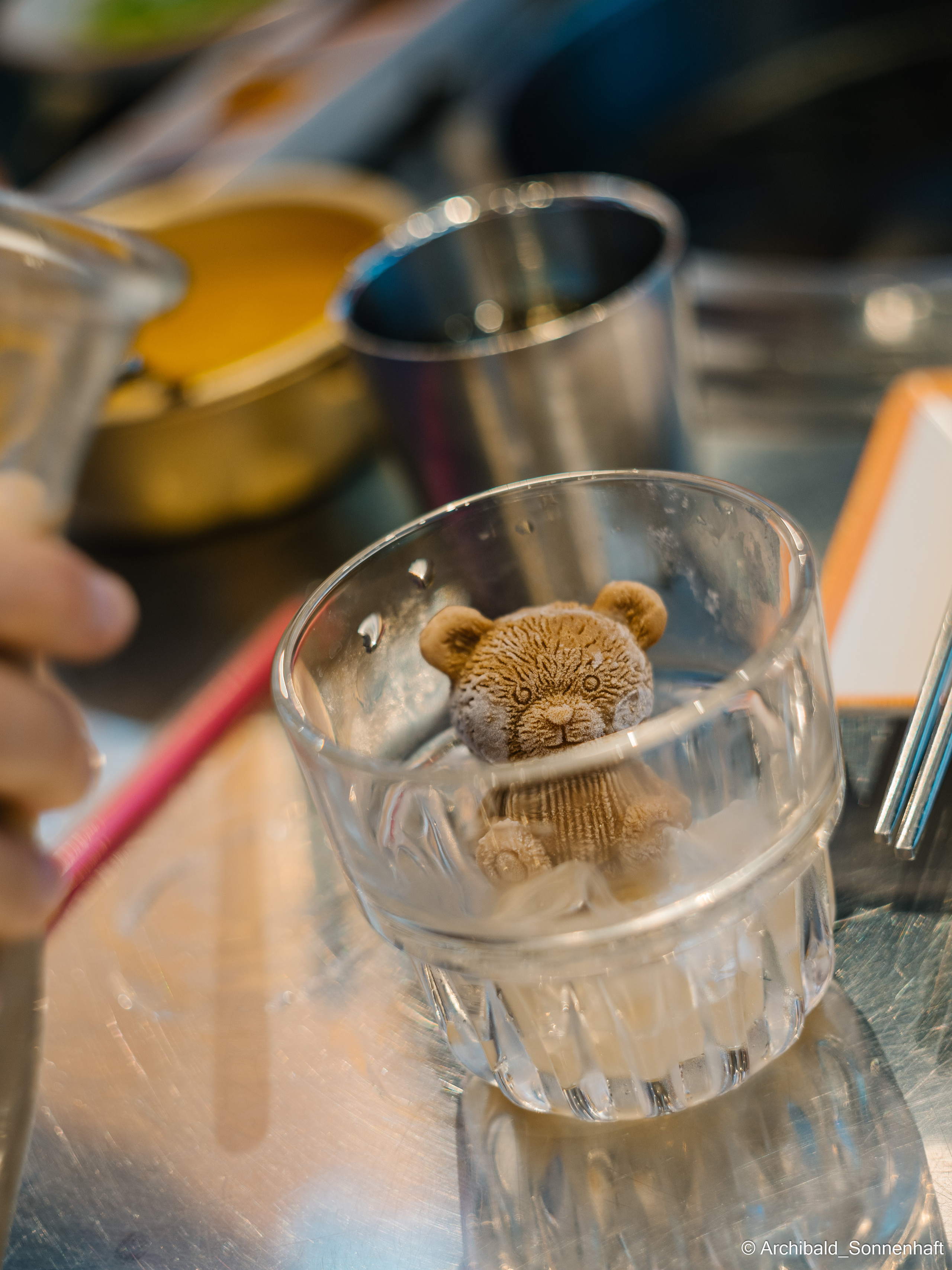 Tea exhibition in Tianjin, China. Photographer in Guangzhou, China. Archibald Sonnenhaft