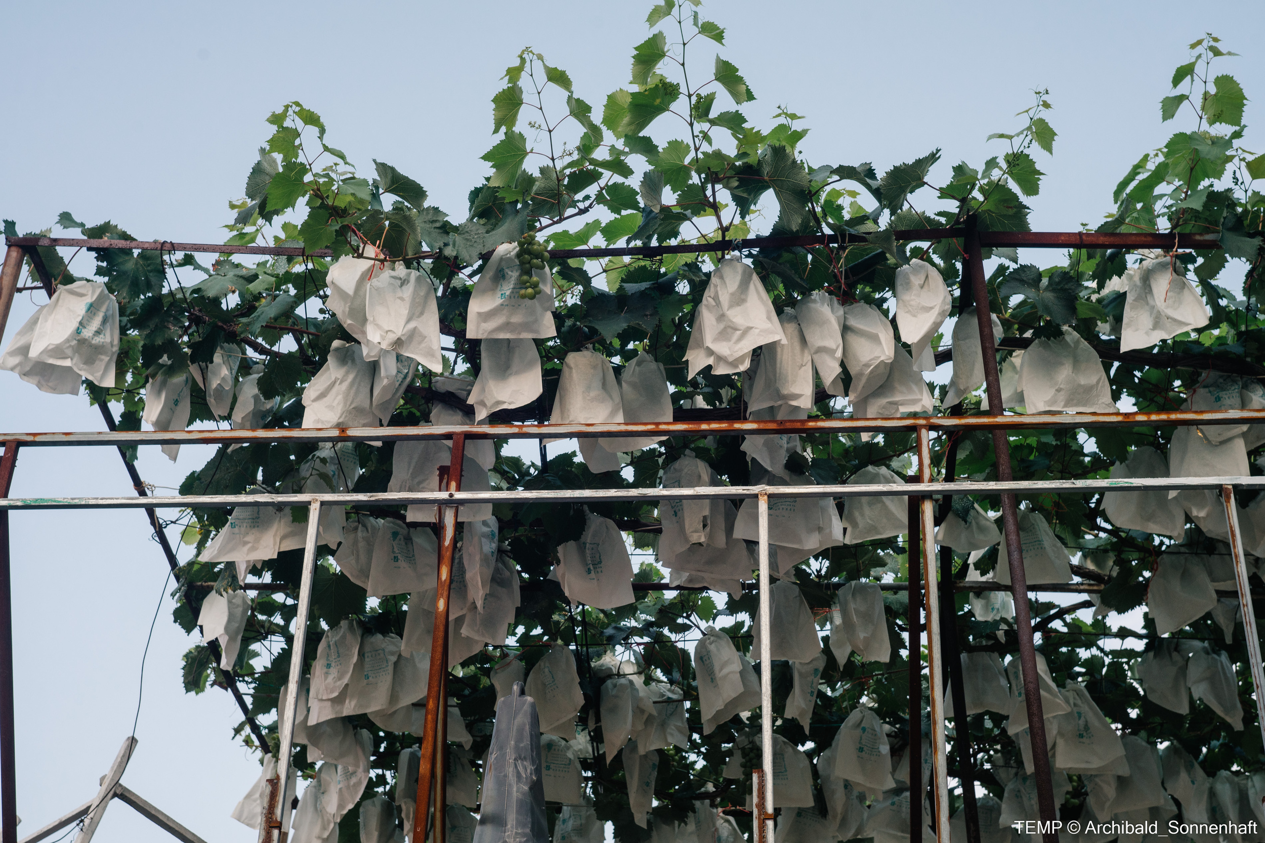 Small tourist island (Yantai district, China). Photographer in Guangzhou, China. Archibald Sonnenhaft
