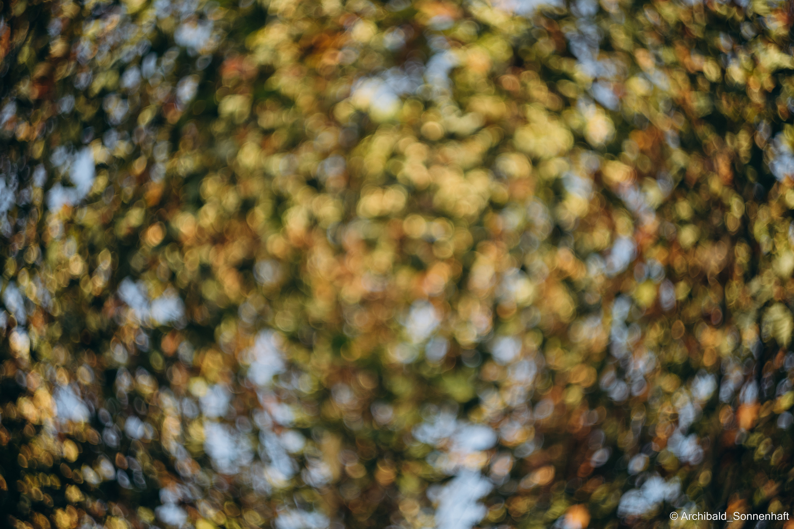 Sometimes it’s hard to focus. Photographer in Guangzhou, China. Archibald Sonnenhaft