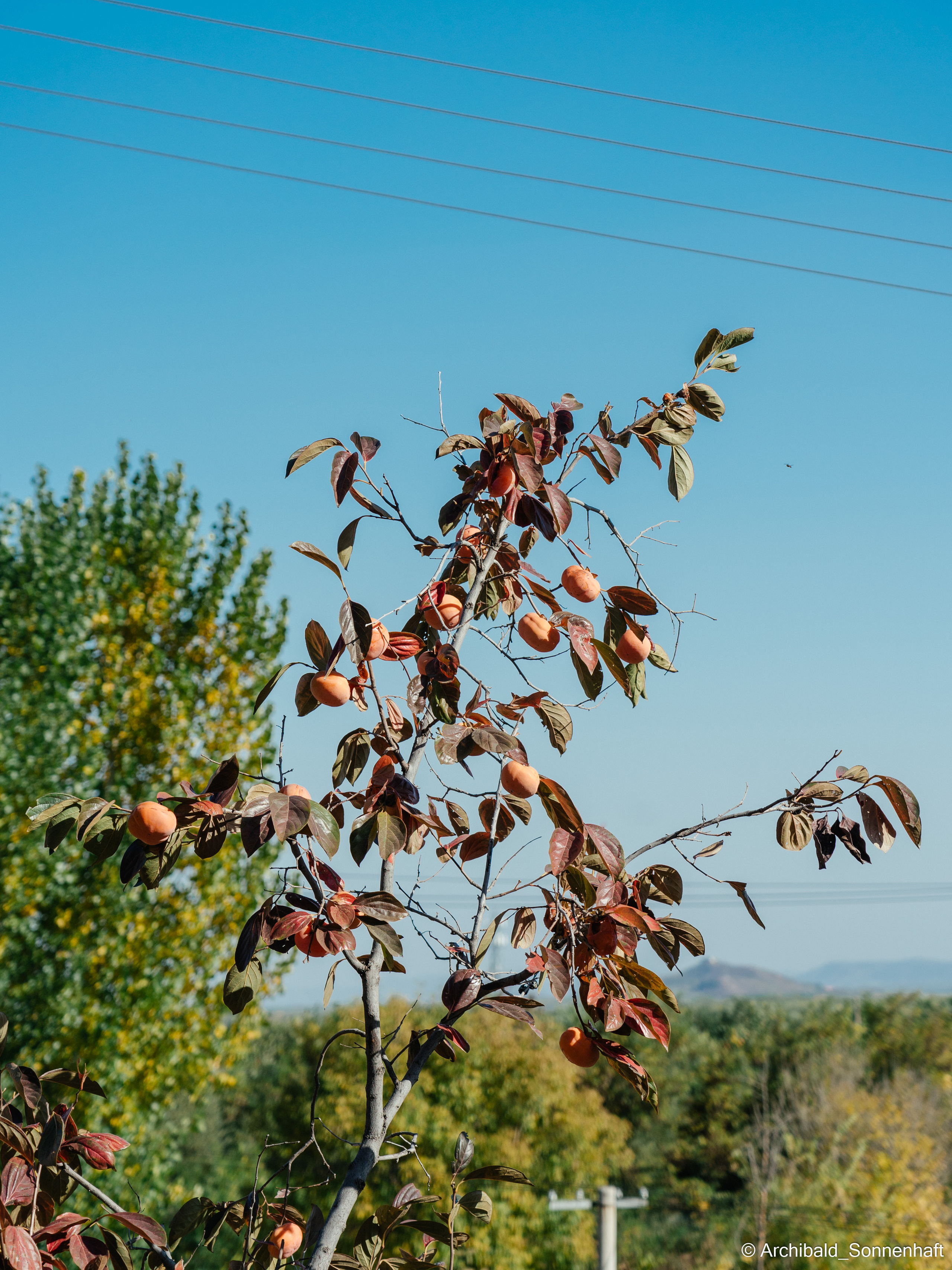 Hiking in Panlai. Photographer in Guangzhou, China. Archibald Sonnenhaft