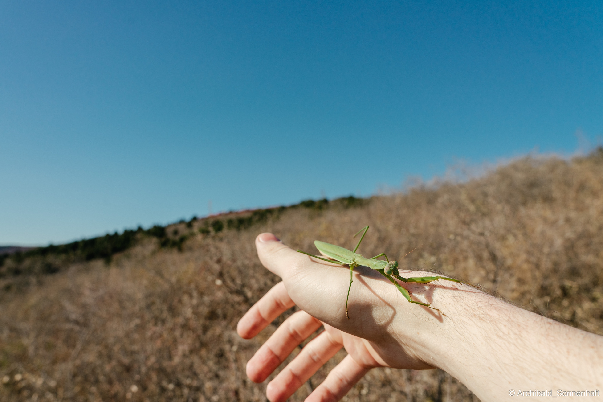 Hiking in Panlai. Photographer in Guangzhou, China. Archibald Sonnenhaft