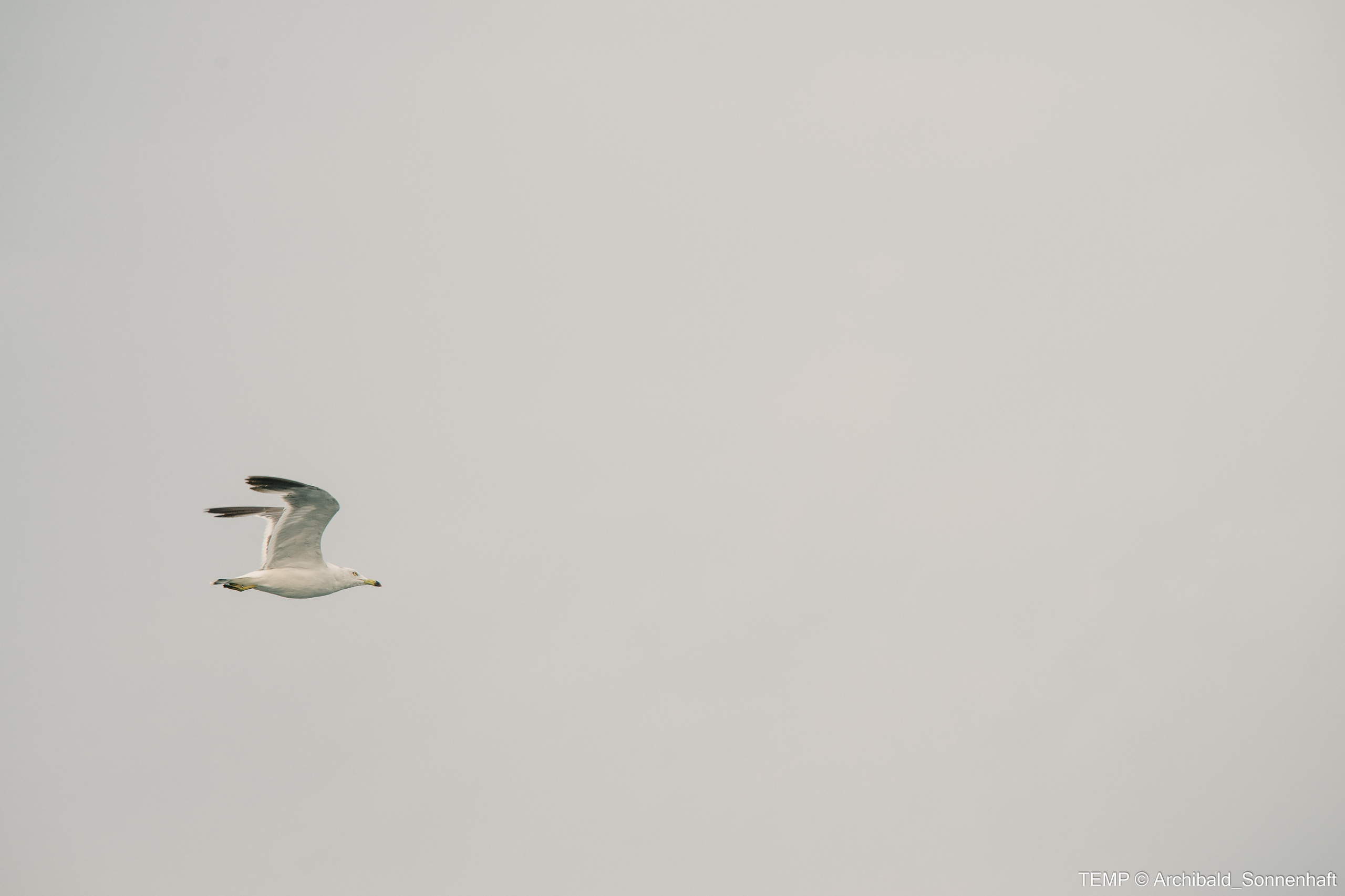 Small tourist island (Yantai district, China). Photographer in Guangzhou, China. Archibald Sonnenhaft