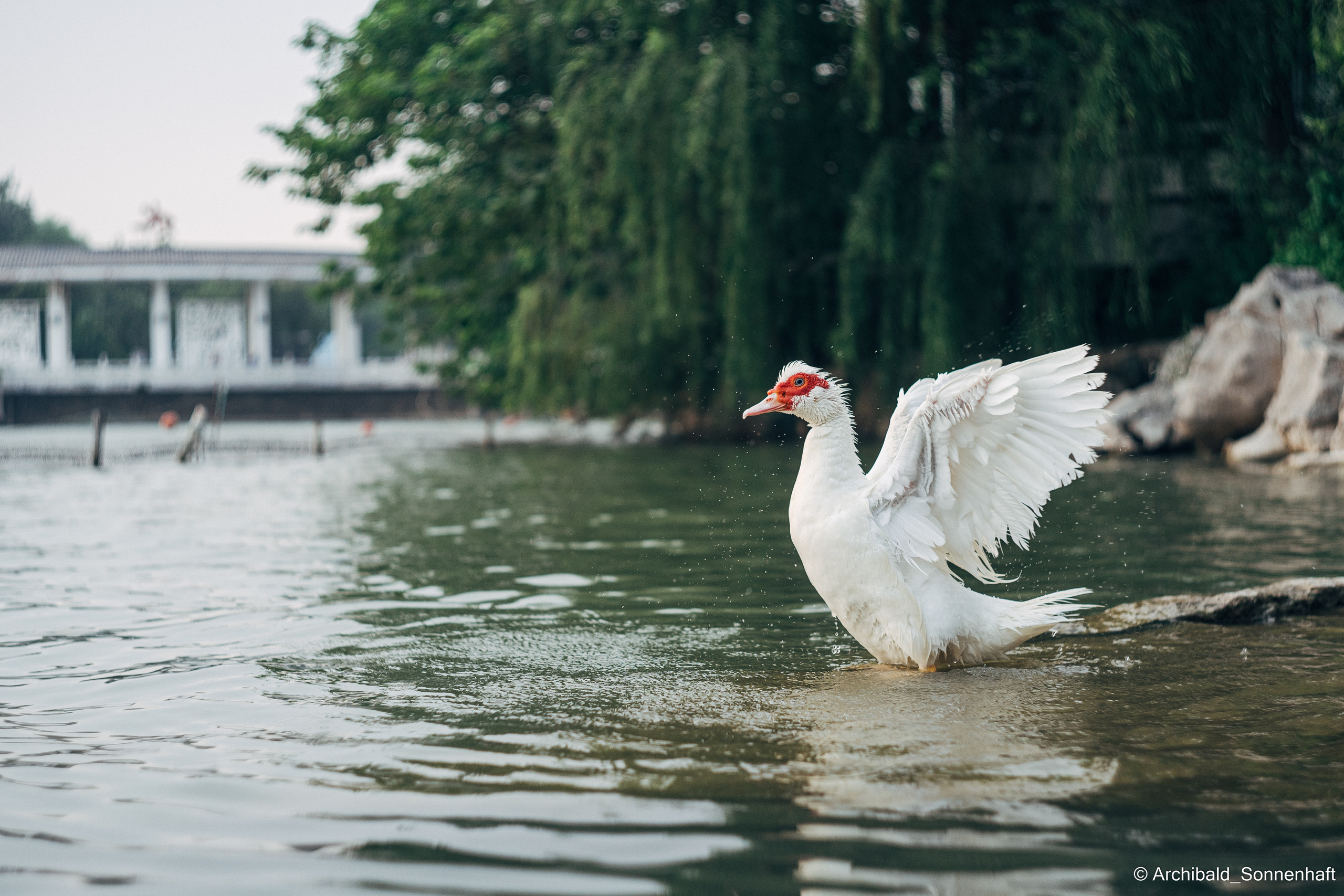 Photographer in Guangzhou, China. Archibald Sonnenhaft