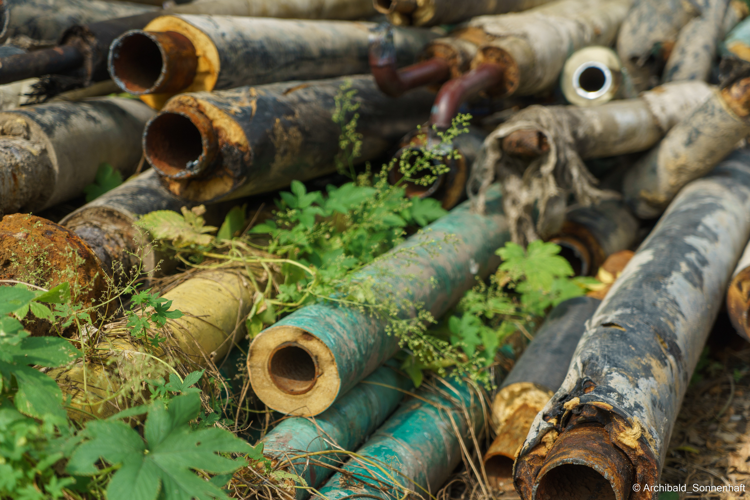 Soft, beautiful, horizontal. Photographer in Guangzhou, China. Archibald Sonnenhaft