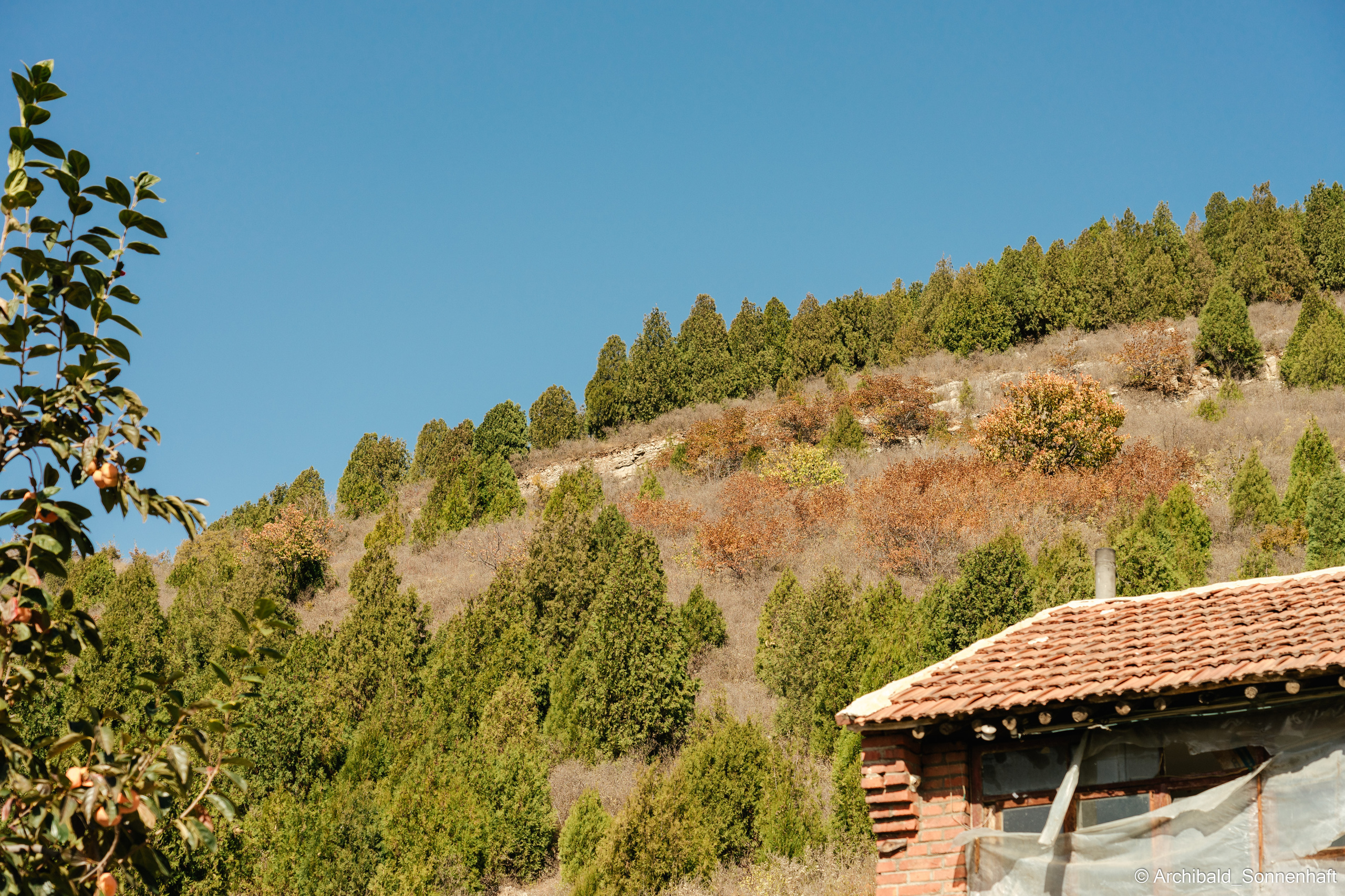 Hiking in Panlai. Photographer in Guangzhou, China. Archibald Sonnenhaft