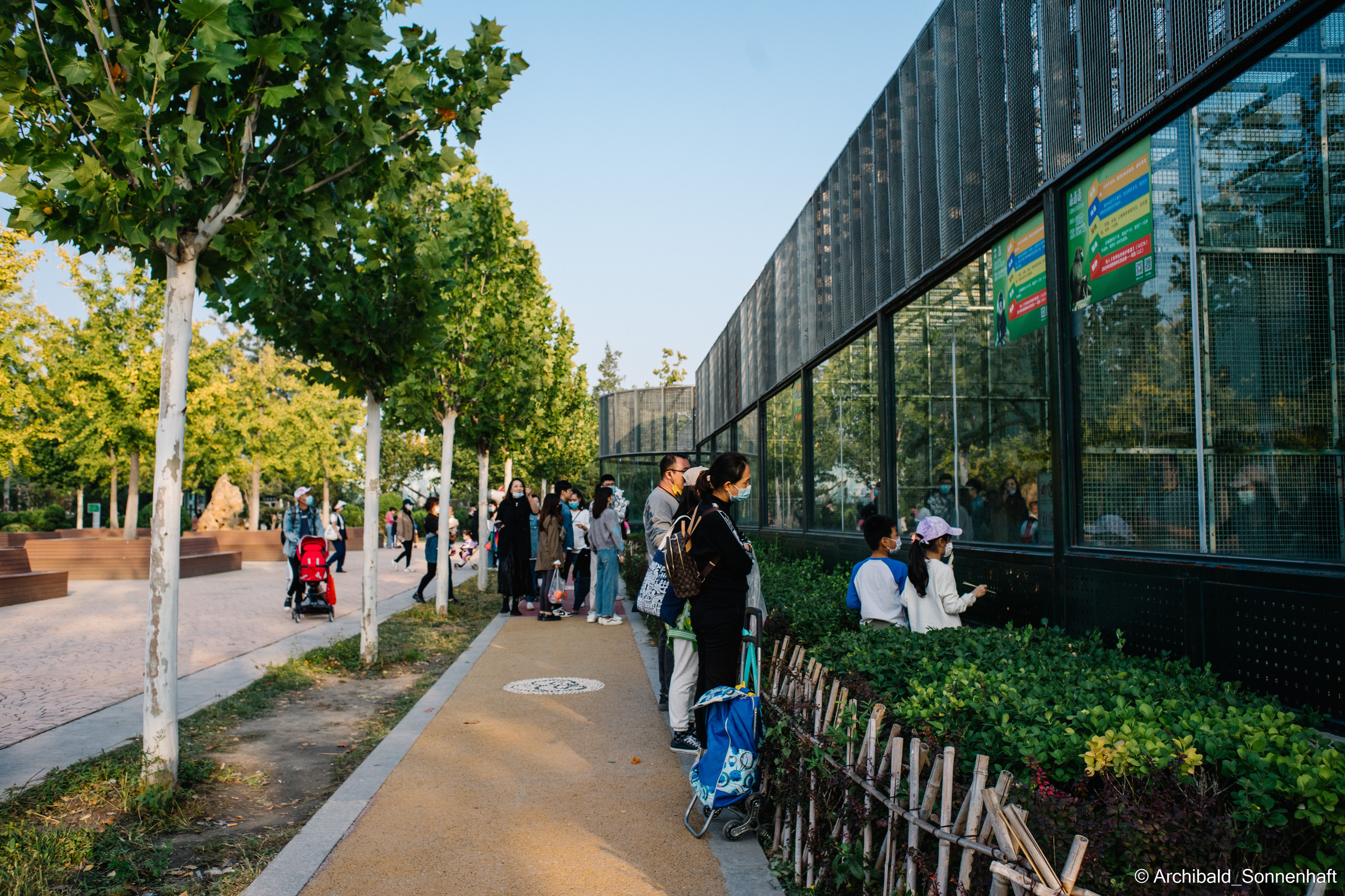 Zoo. Photographer in Guangzhou, China. Archibald Sonnenhaft