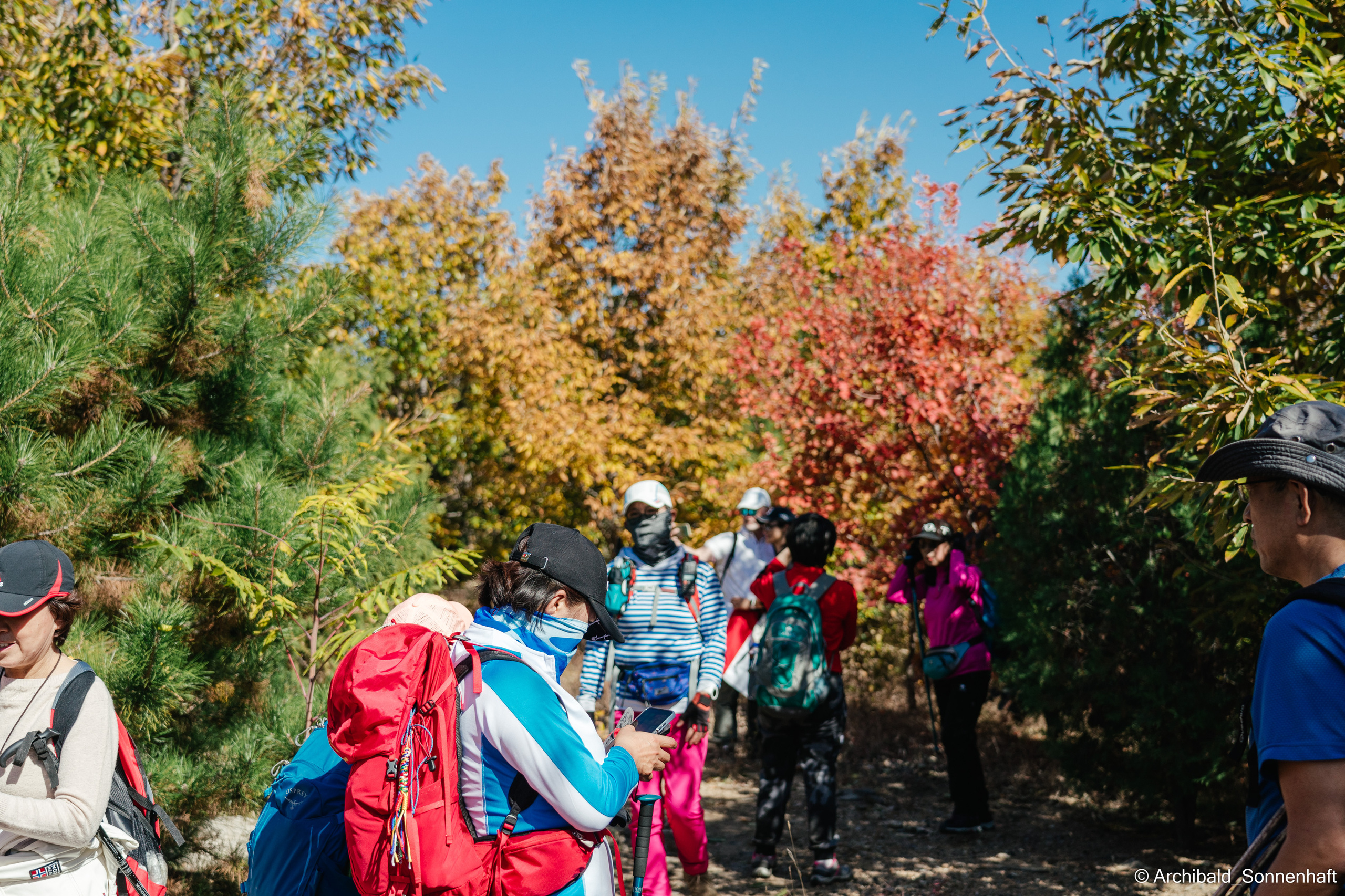 Hiking in Panlai. Photographer in Guangzhou, China. Archibald Sonnenhaft