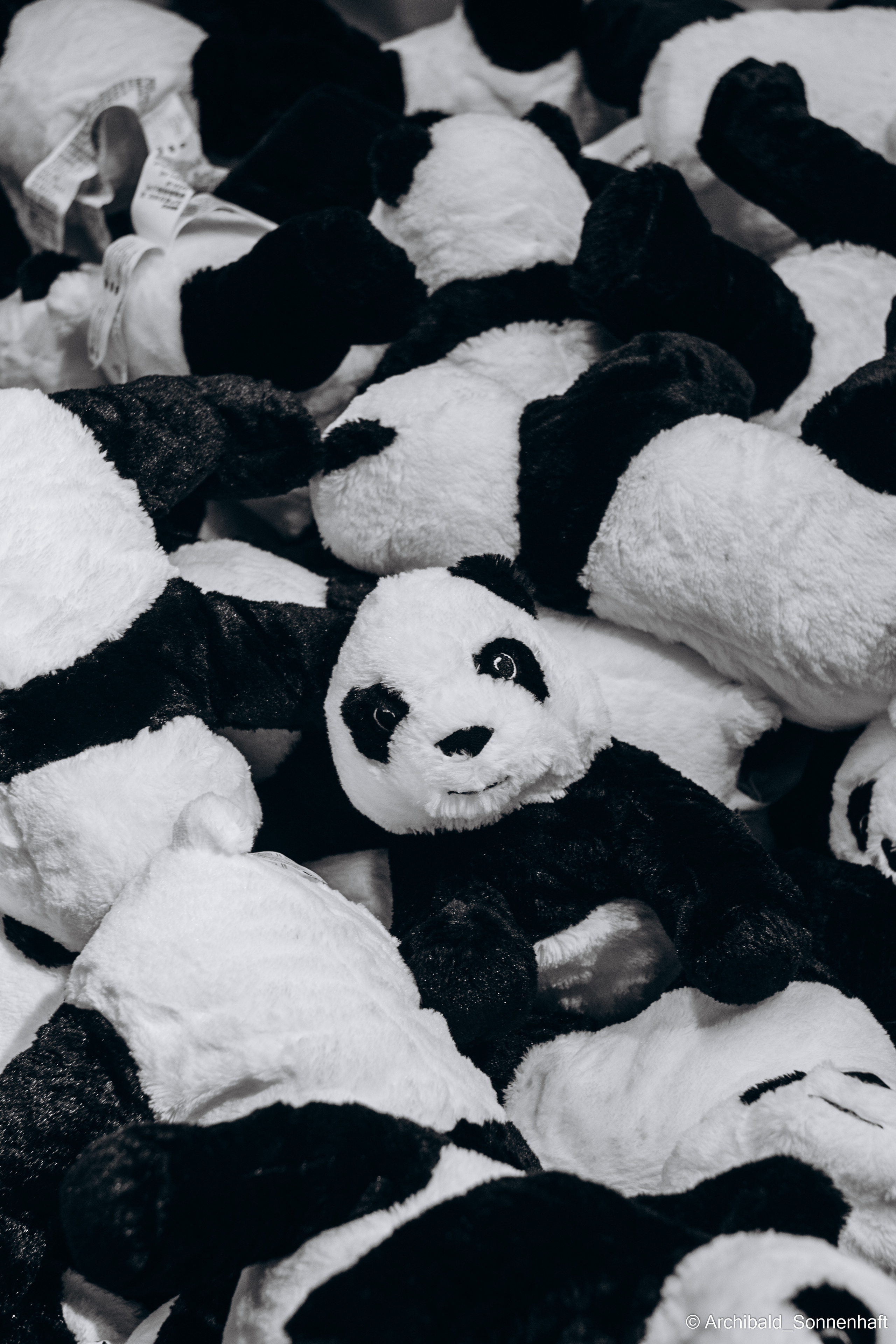 Light, beautiful, vertical. Photographer in Guangzhou, China. Archibald Sonnenhaft