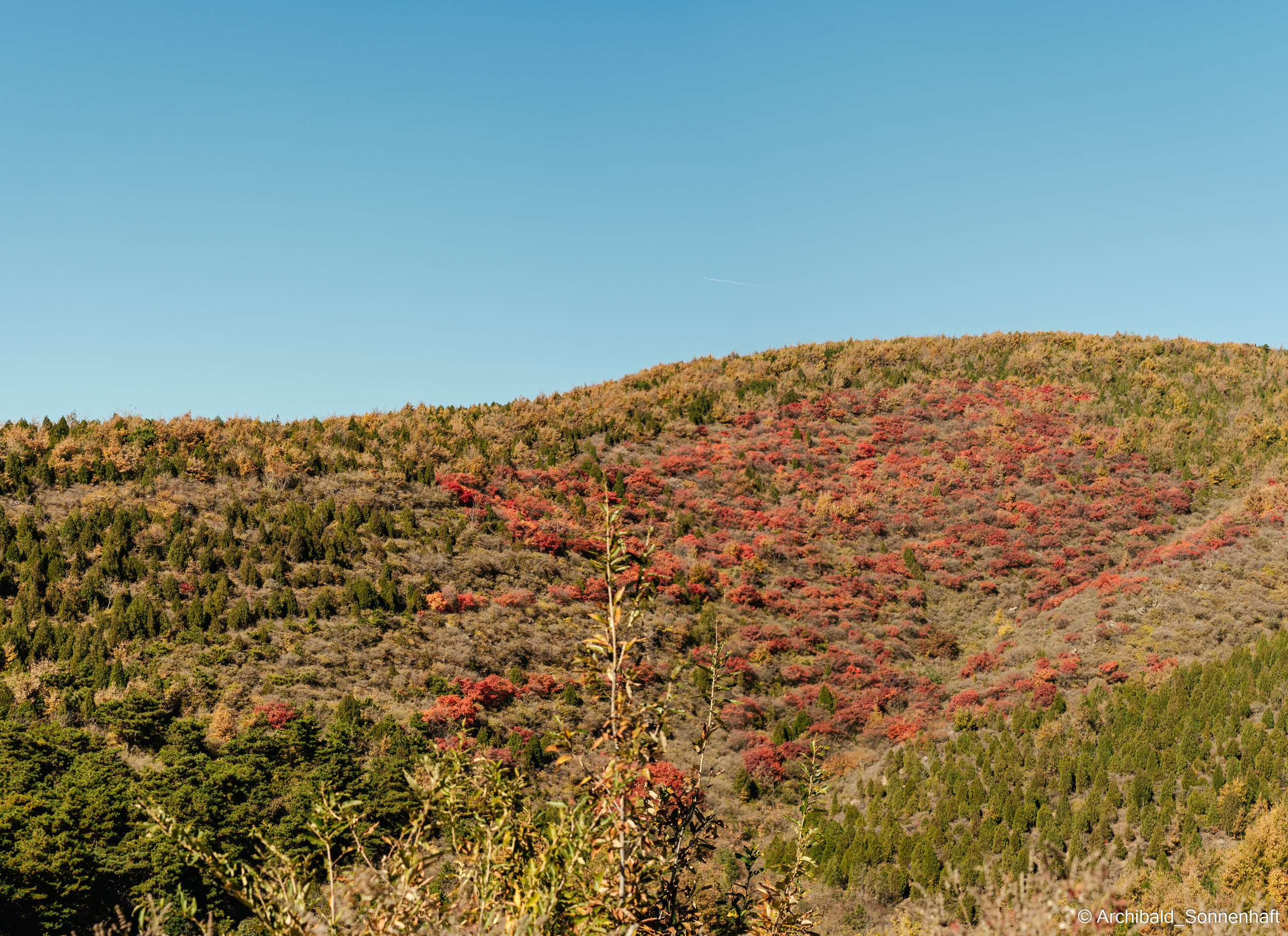 Hiking in Panlai. Photographer in Guangzhou, China. Archibald Sonnenhaft