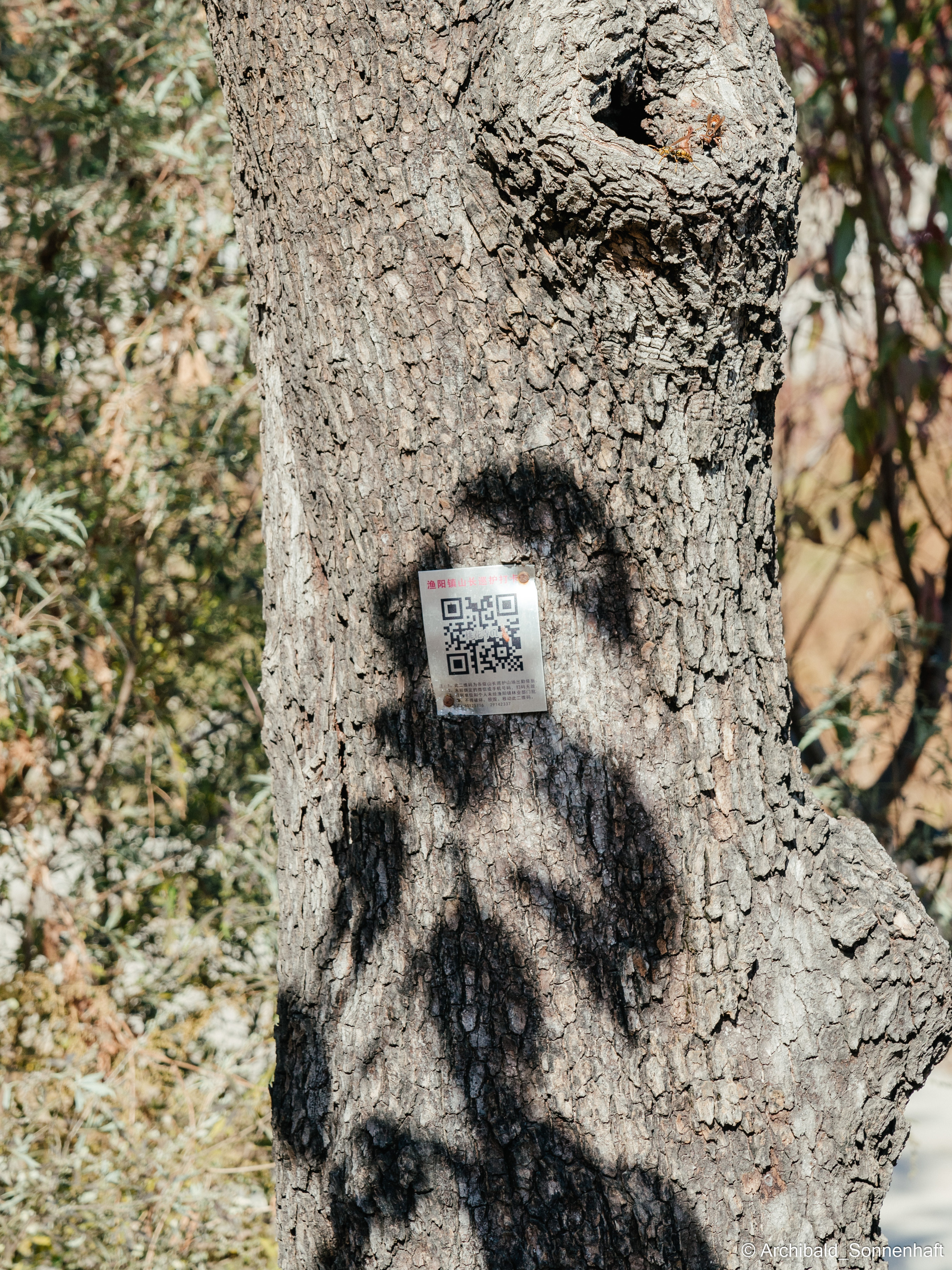 Hiking in Panlai. Photographer in Guangzhou, China. Archibald Sonnenhaft