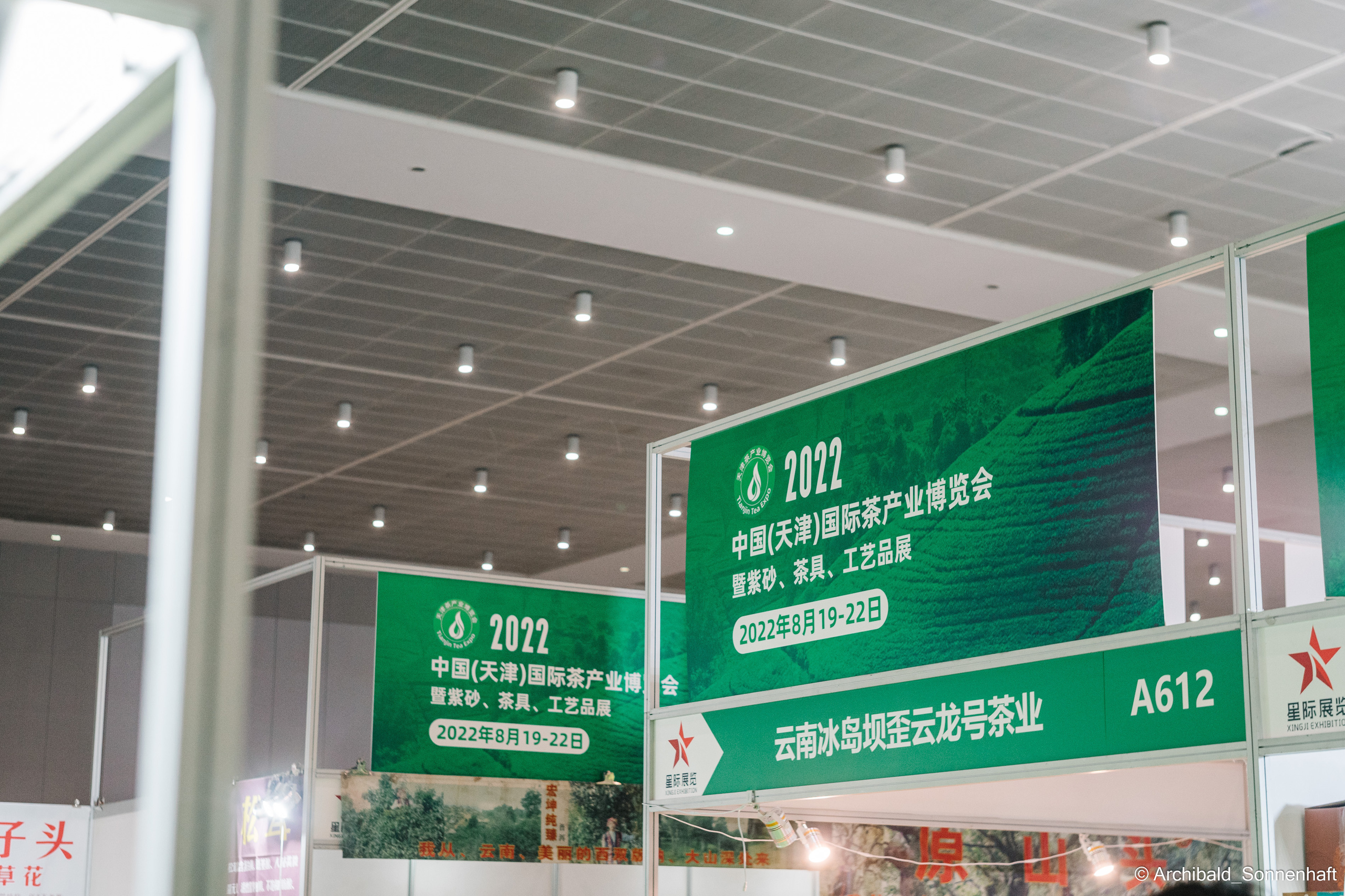 Tea exhibition in Tianjin, China. Photographer in Guangzhou, China. Archibald Sonnenhaft