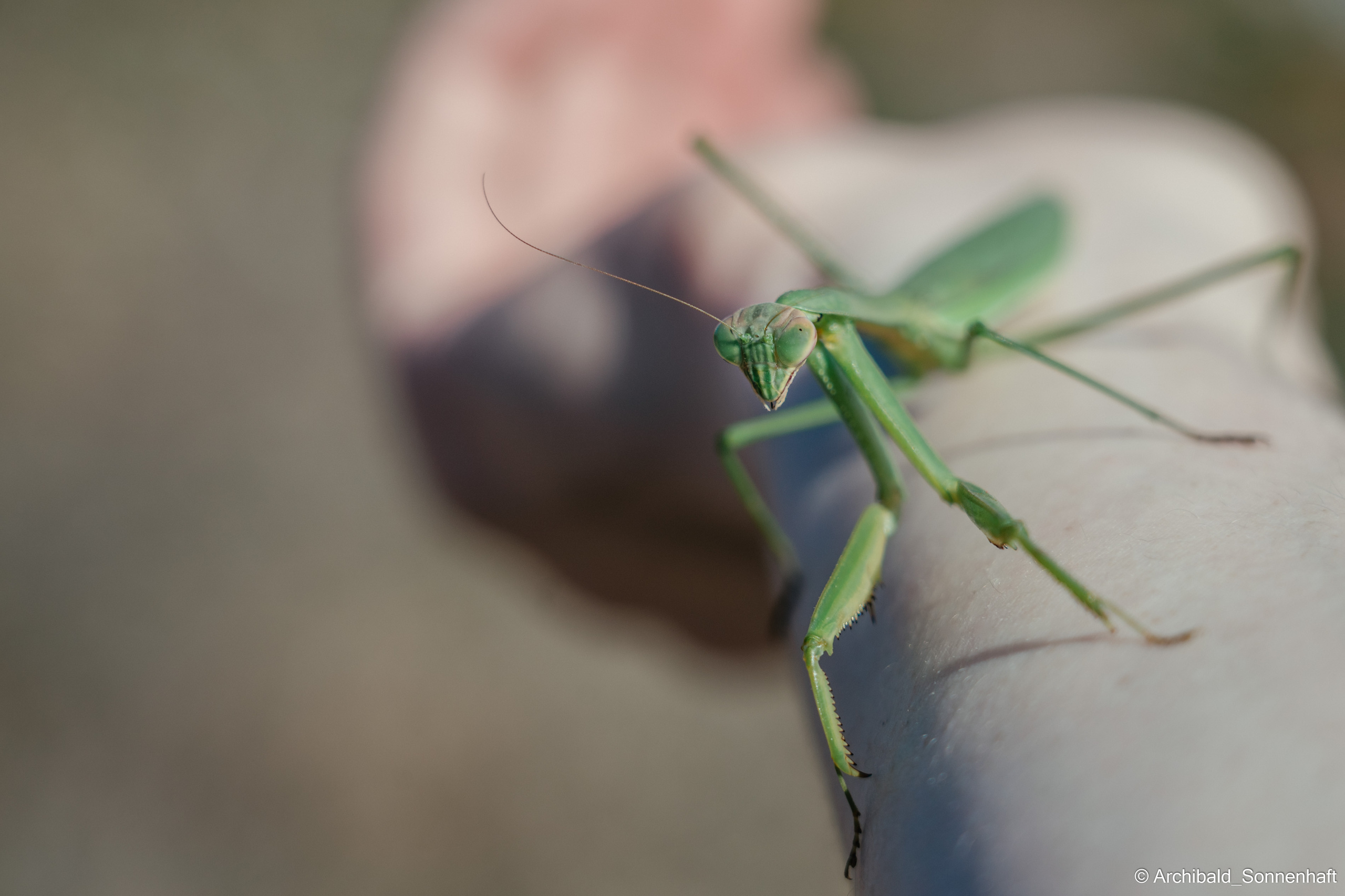 Hiking in Panlai. Photographer in Guangzhou, China. Archibald Sonnenhaft