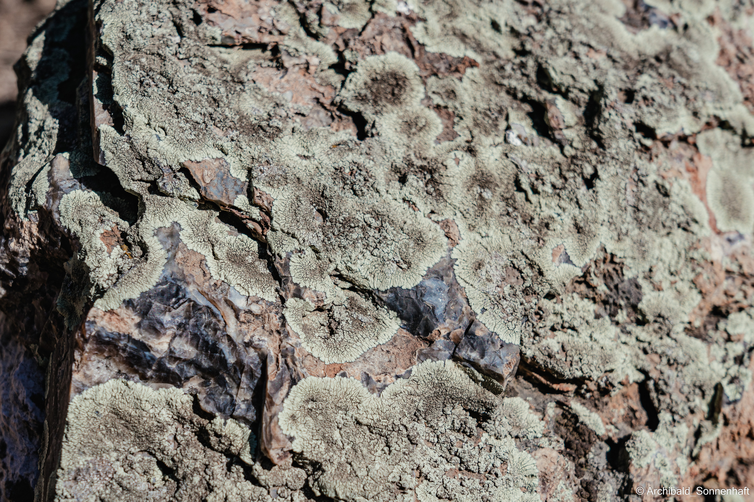 Hiking in Panlai. Photographer in Guangzhou, China. Archibald Sonnenhaft