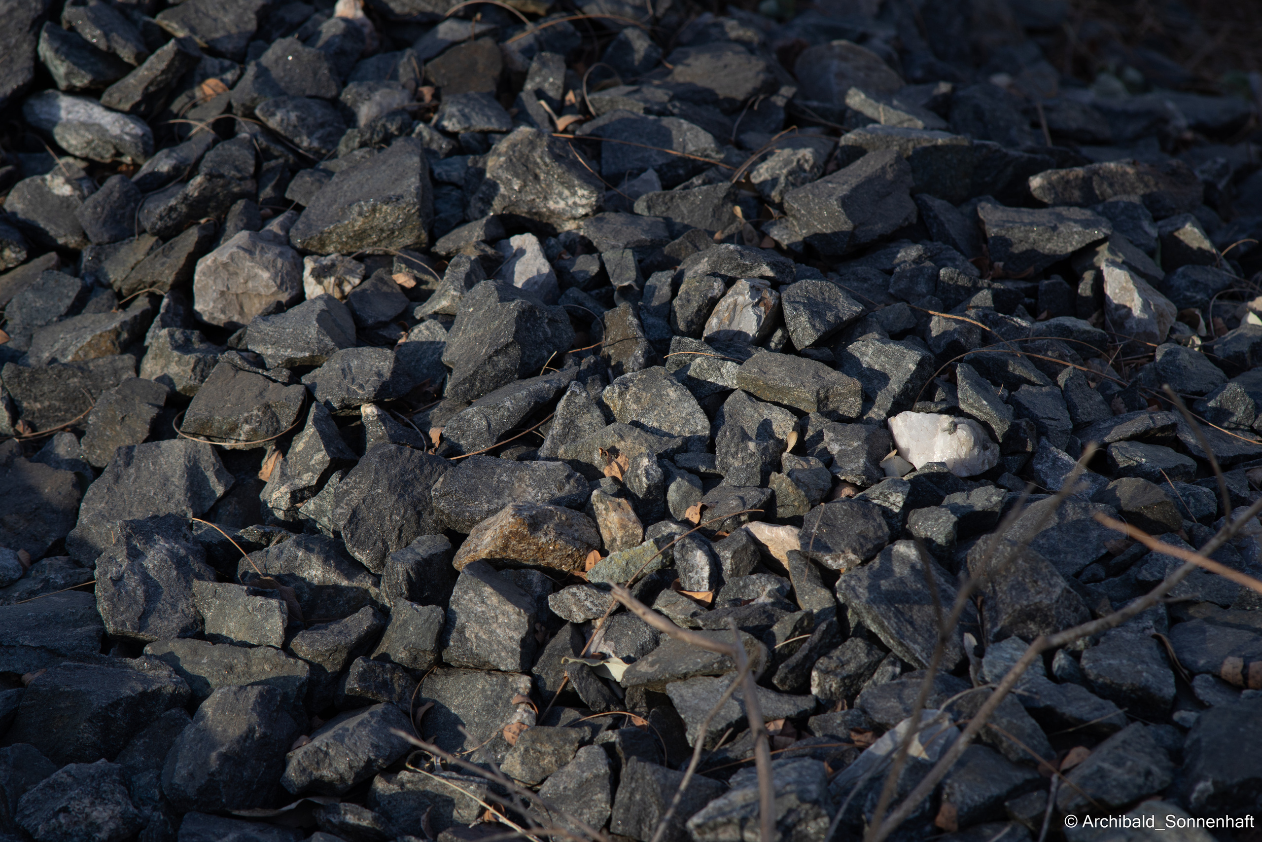 Soft, beautiful, horizontal. Photographer in Guangzhou, China. Archibald Sonnenhaft