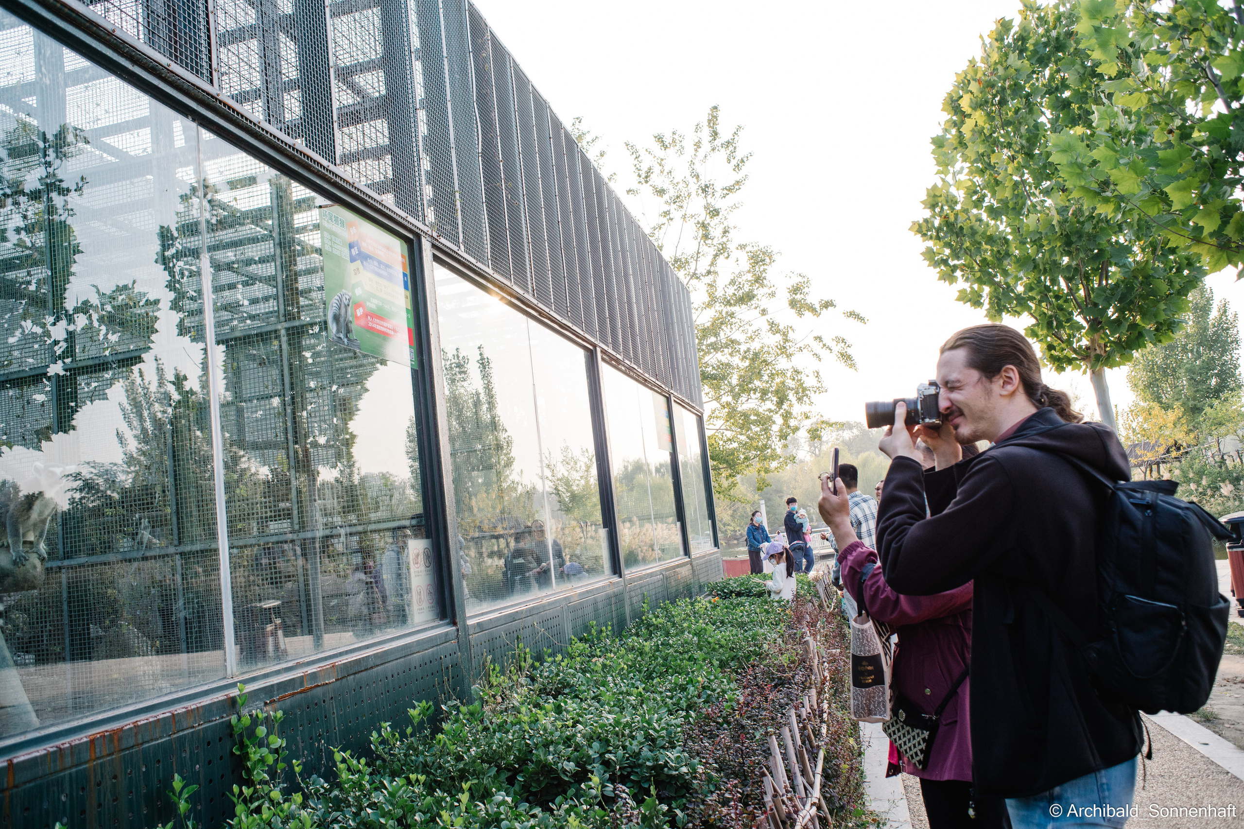 Zoo. Photographer in Guangzhou, China. Archibald Sonnenhaft