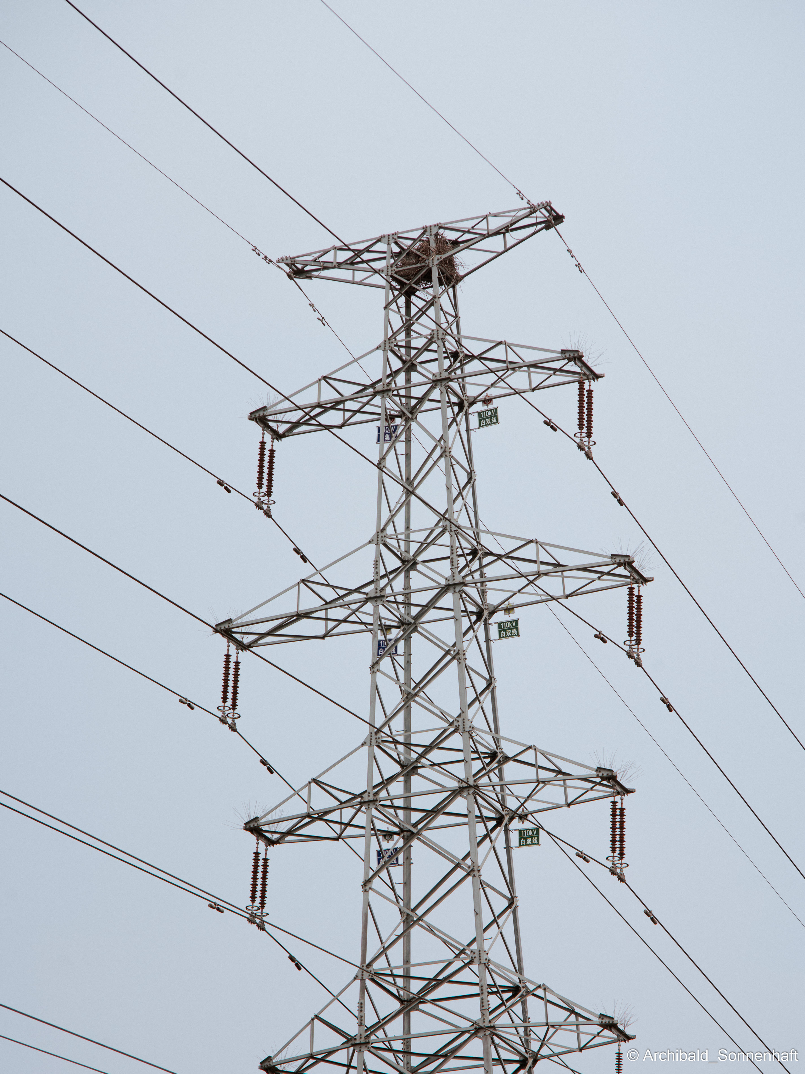 Wires. Photographer in Guangzhou, China. Archibald Sonnenhaft