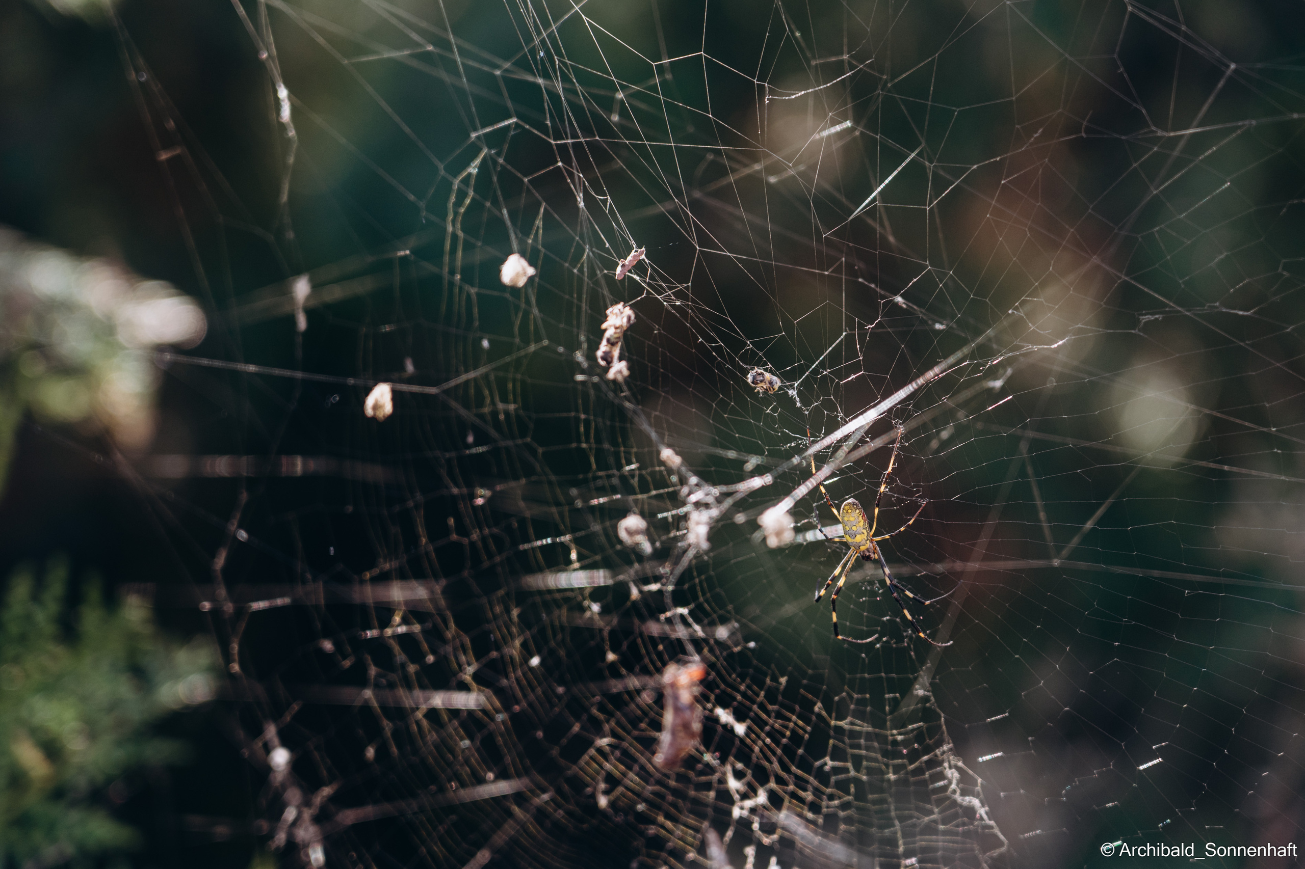 Hiking in Panlai. Photographer in Guangzhou, China. Archibald Sonnenhaft