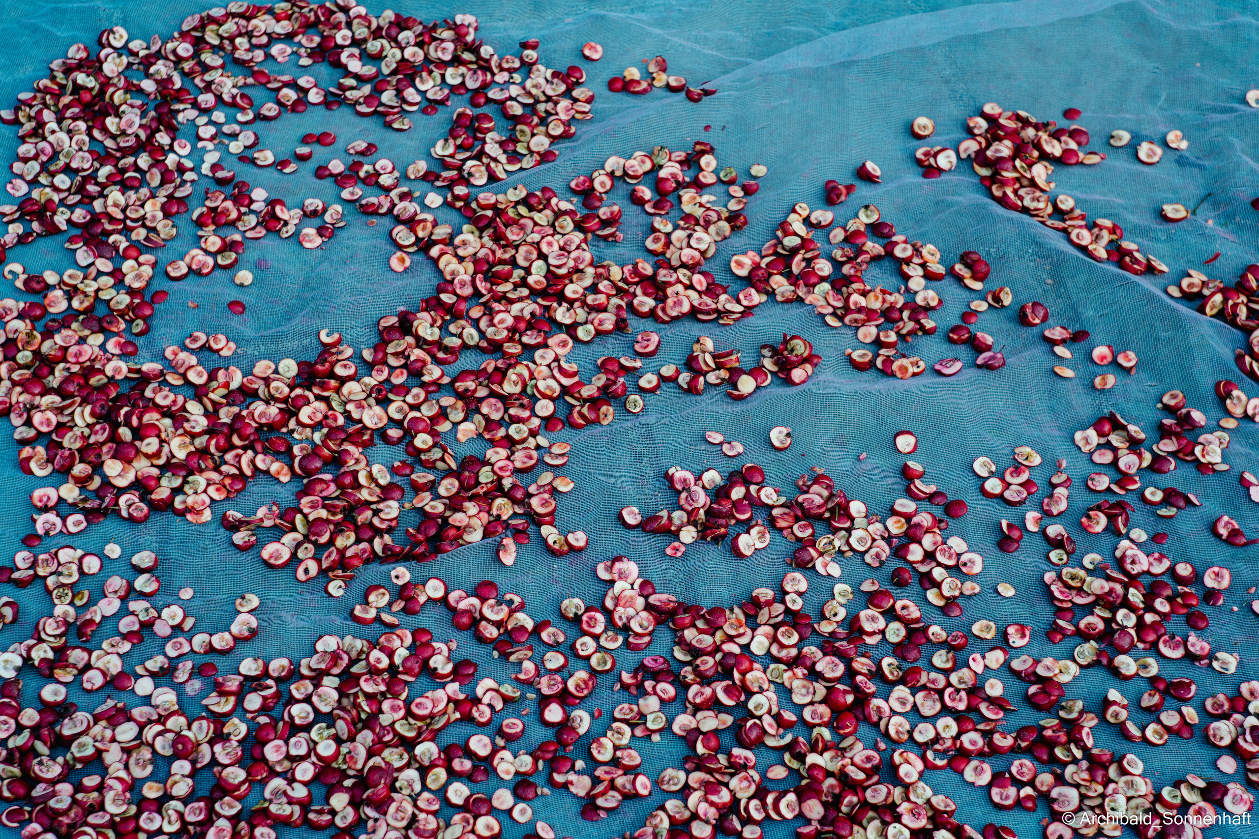 Soft, beautiful, horizontal. Photographer in Guangzhou, China. Archibald Sonnenhaft