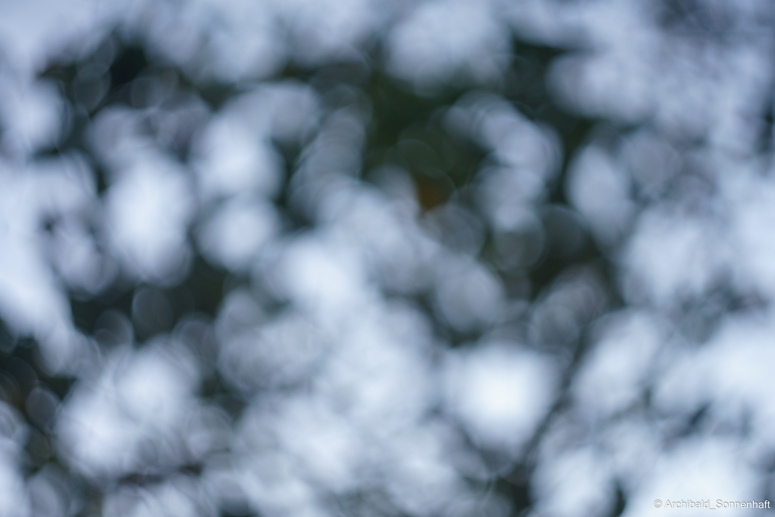 Sometimes it’s hard to focus. Photographer in Guangzhou, China. Archibald Sonnenhaft