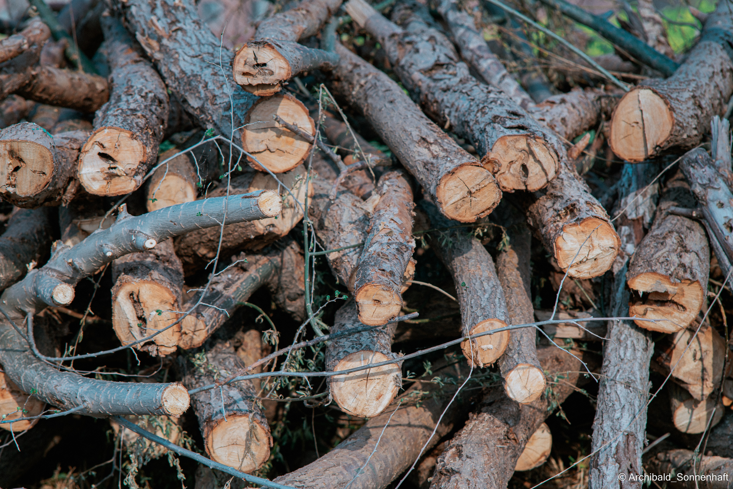 Soft, beautiful, horizontal. Photographer in Guangzhou, China. Archibald Sonnenhaft