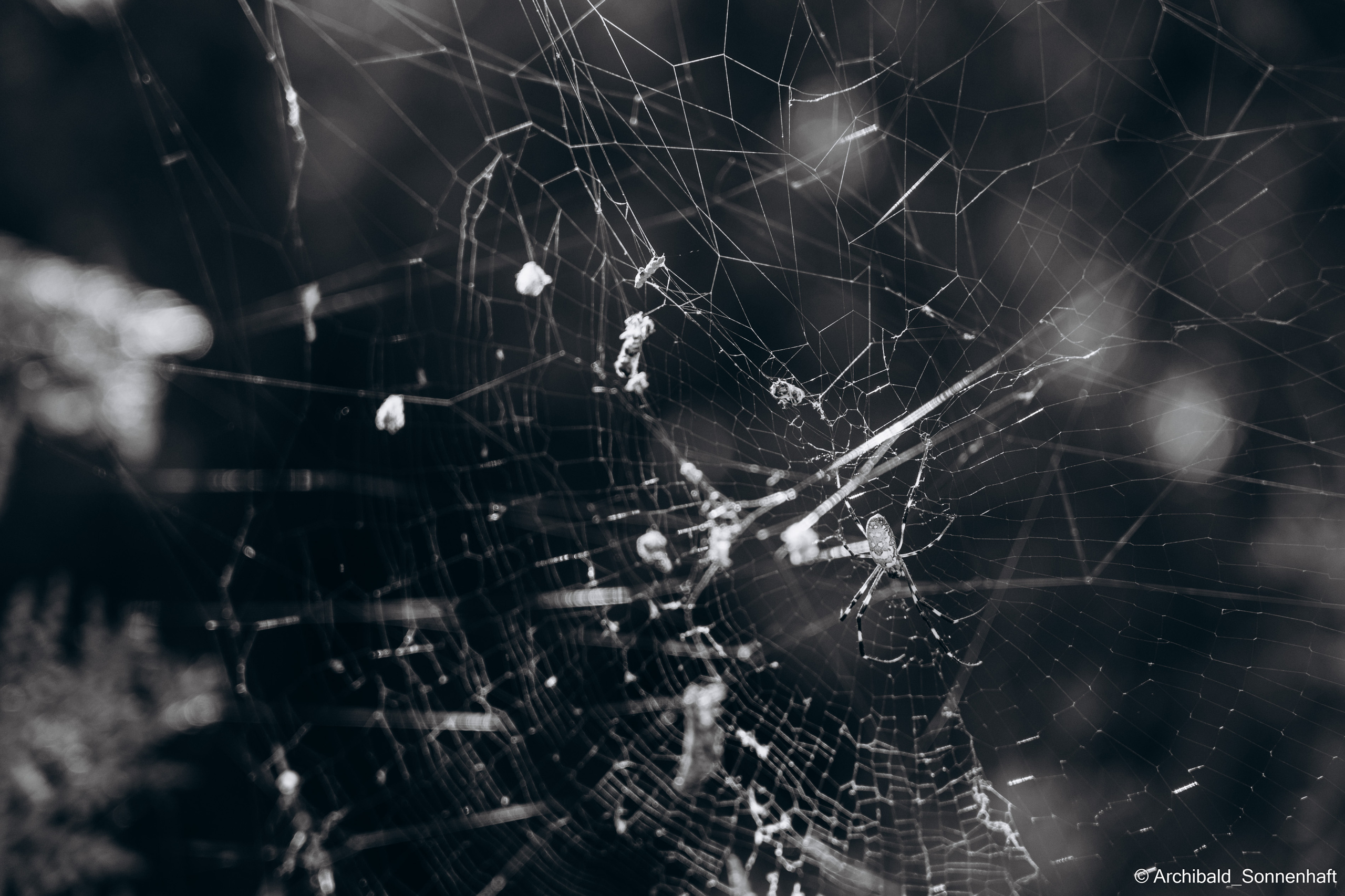 Hiking in Panlai. Photographer in Guangzhou, China. Archibald Sonnenhaft