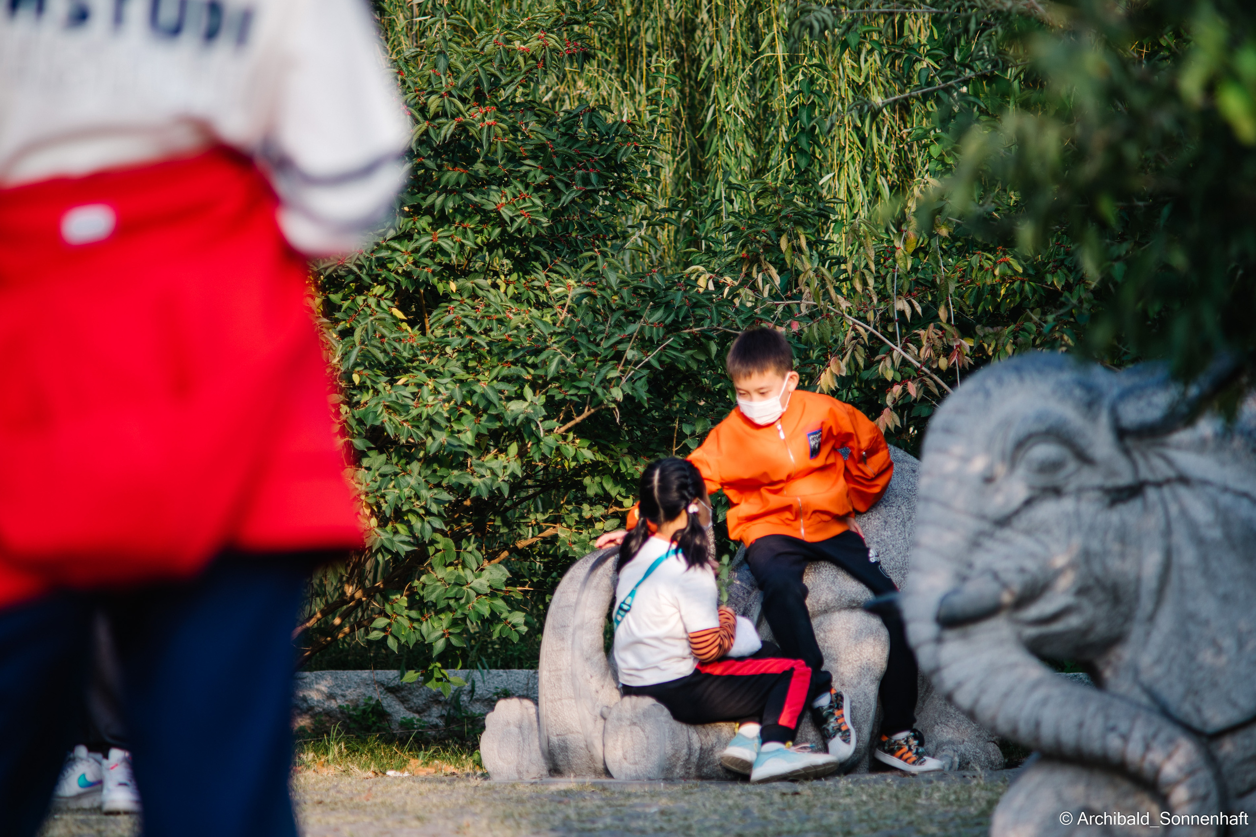 Zoo. Photographer in Guangzhou, China. Archibald Sonnenhaft