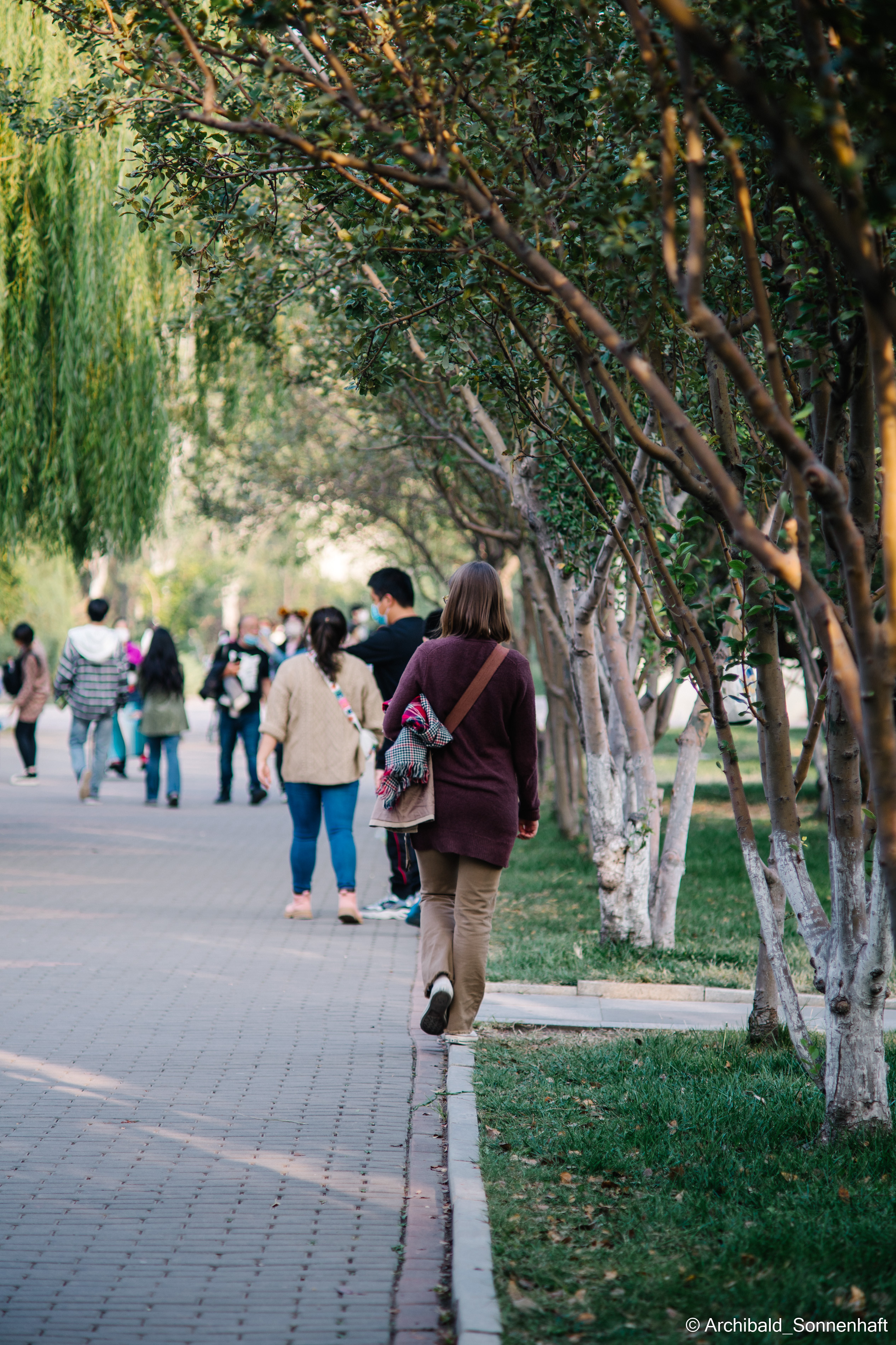 Zoo. Photographer in Guangzhou, China. Archibald Sonnenhaft