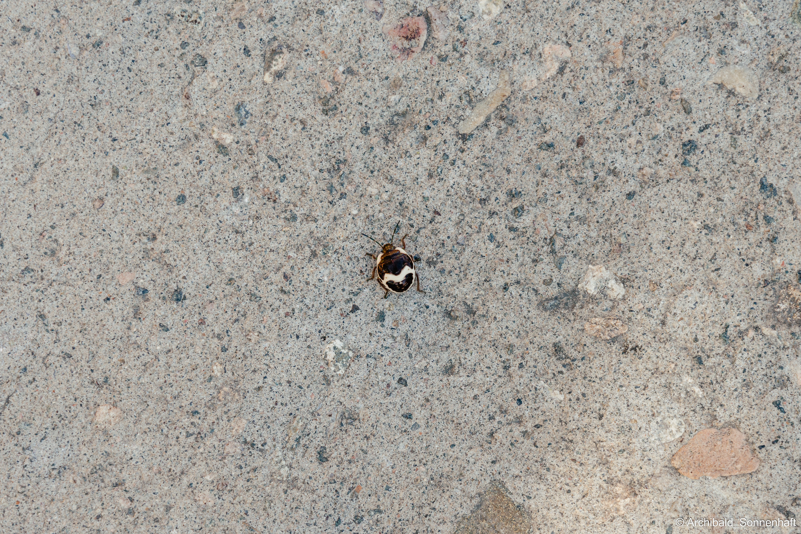 Hiking in Panlai. Photographer in Guangzhou, China. Archibald Sonnenhaft