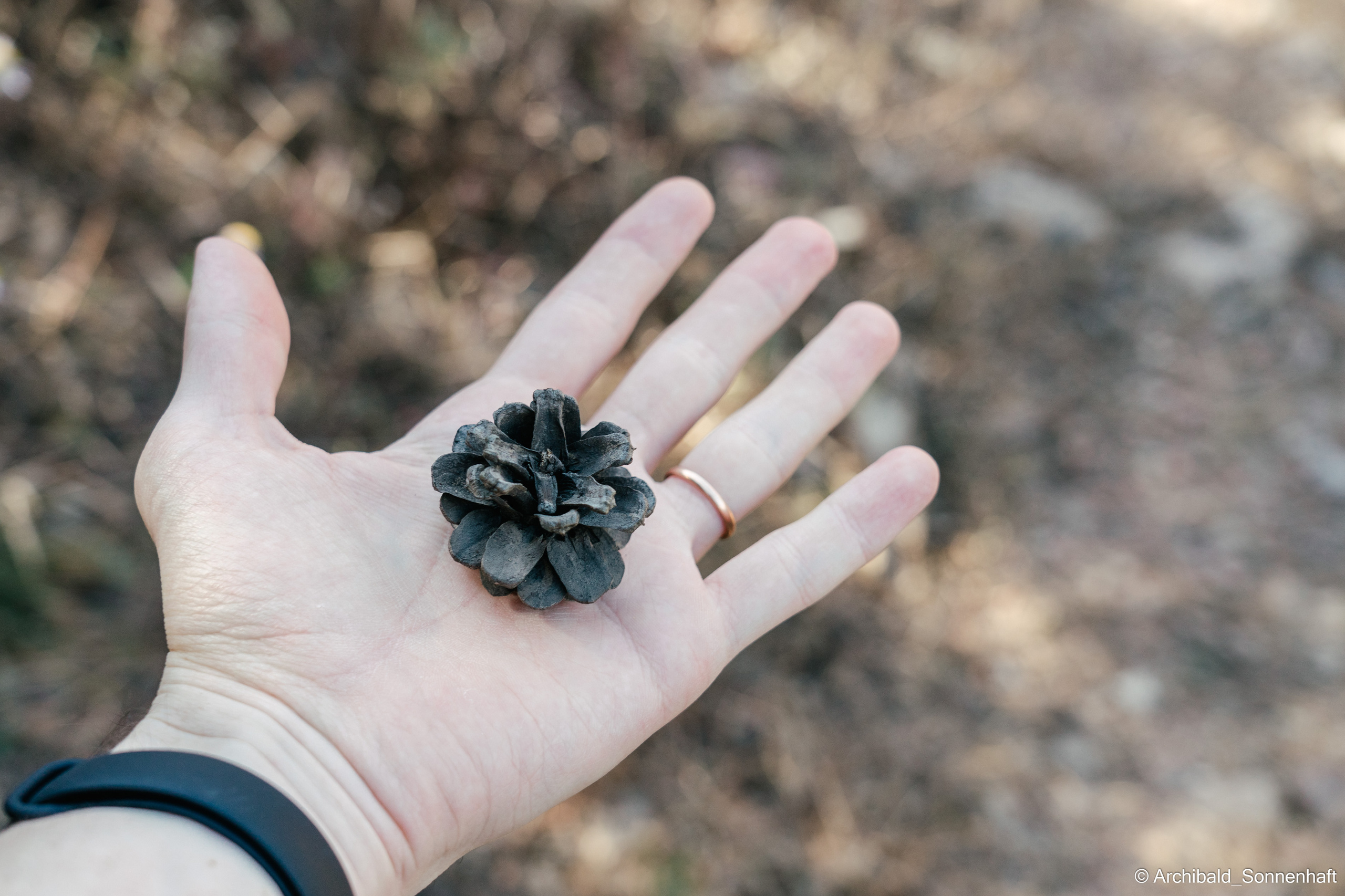Hiking in Panlai. Photographer in Guangzhou, China. Archibald Sonnenhaft