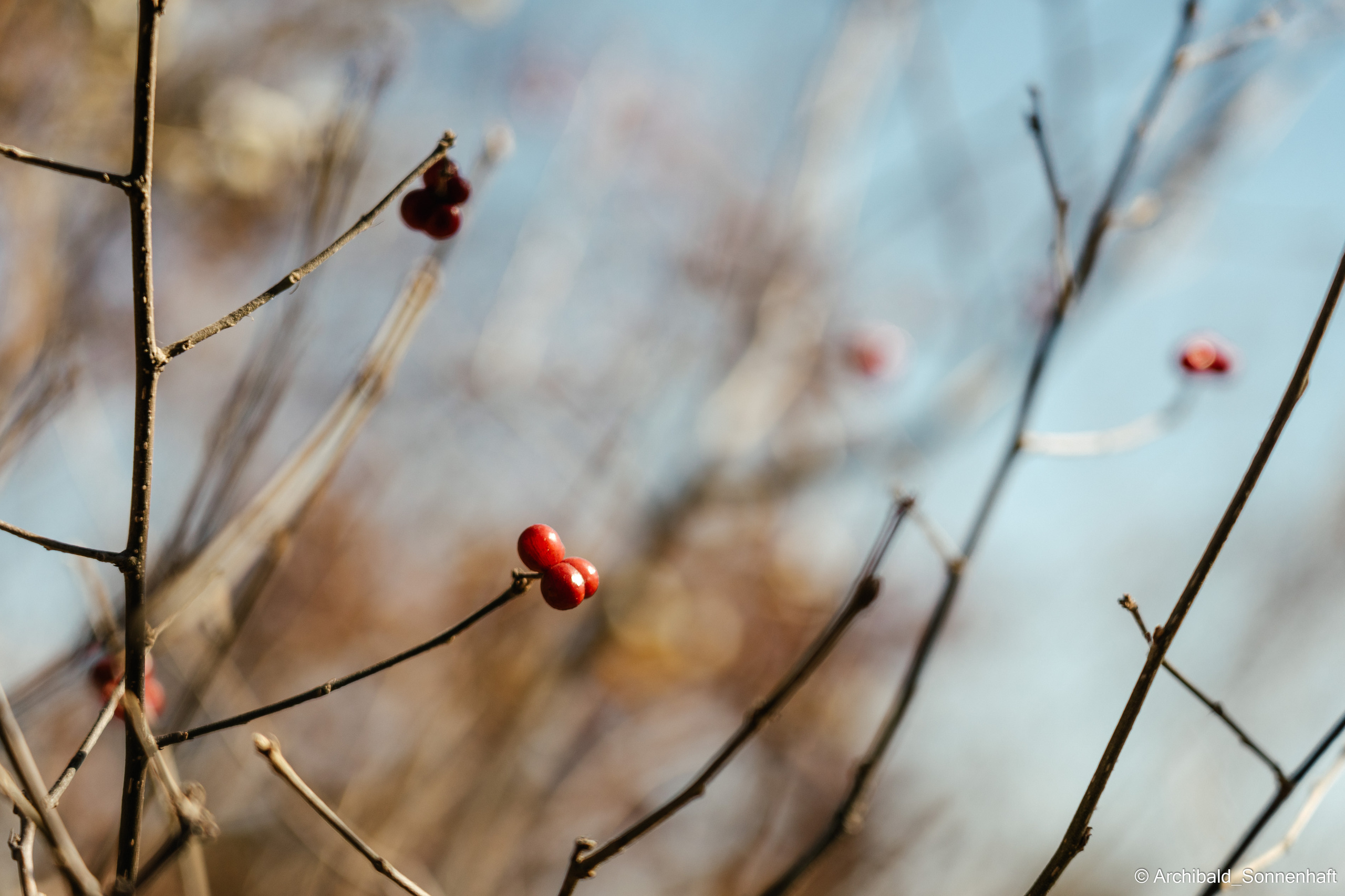 Hiking in Panlai. Photographer in Guangzhou, China. Archibald Sonnenhaft