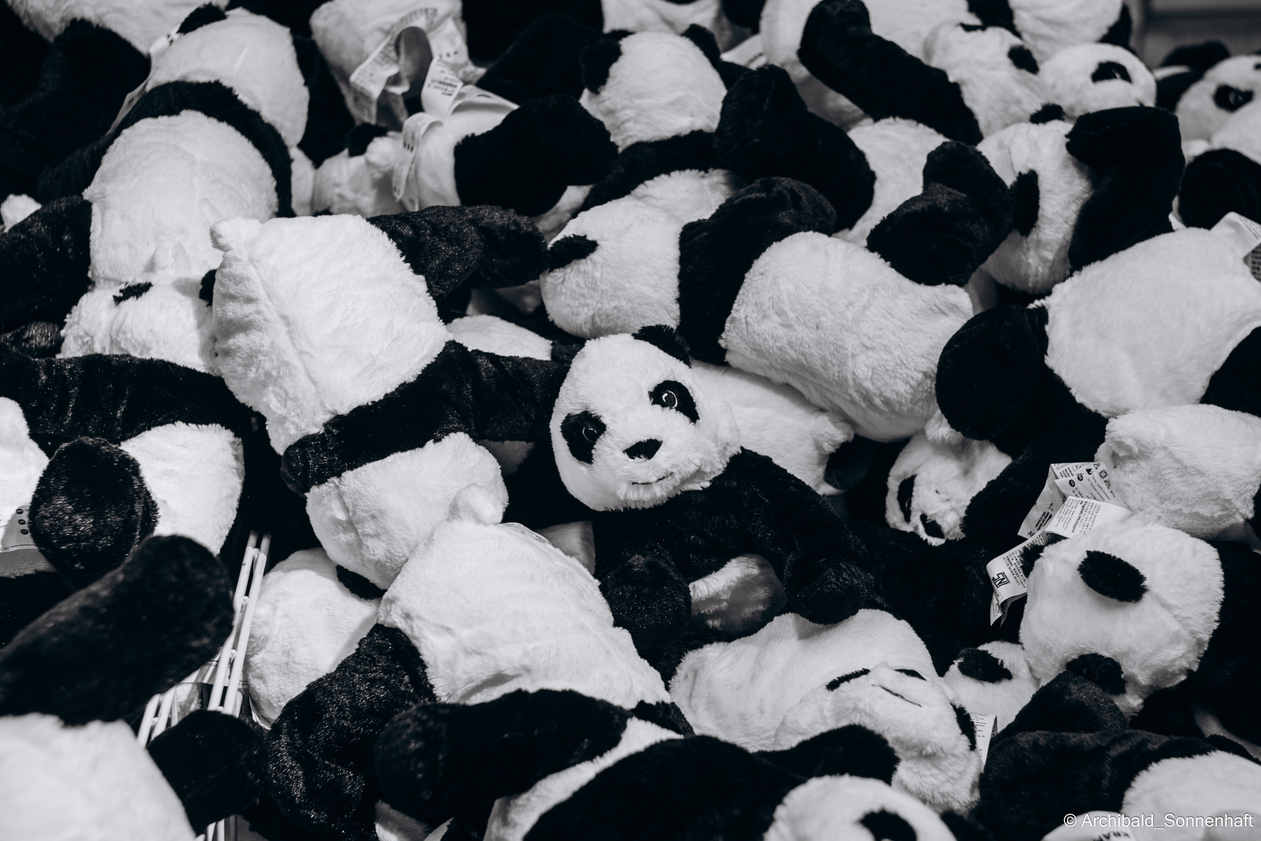 Soft, beautiful, horizontal. Photographer in Guangzhou, China. Archibald Sonnenhaft