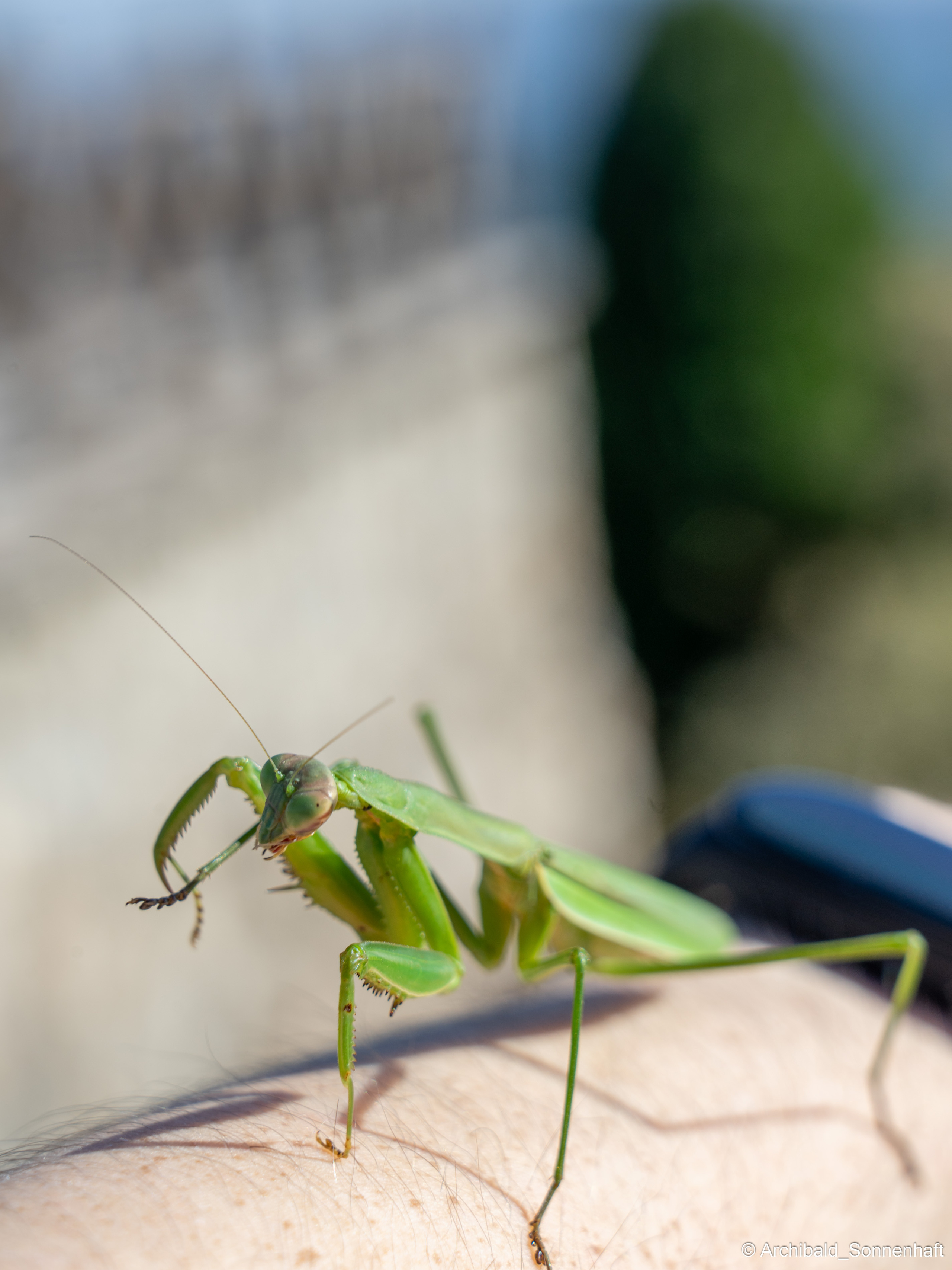 Hiking in Panlai. Photographer in Guangzhou, China. Archibald Sonnenhaft